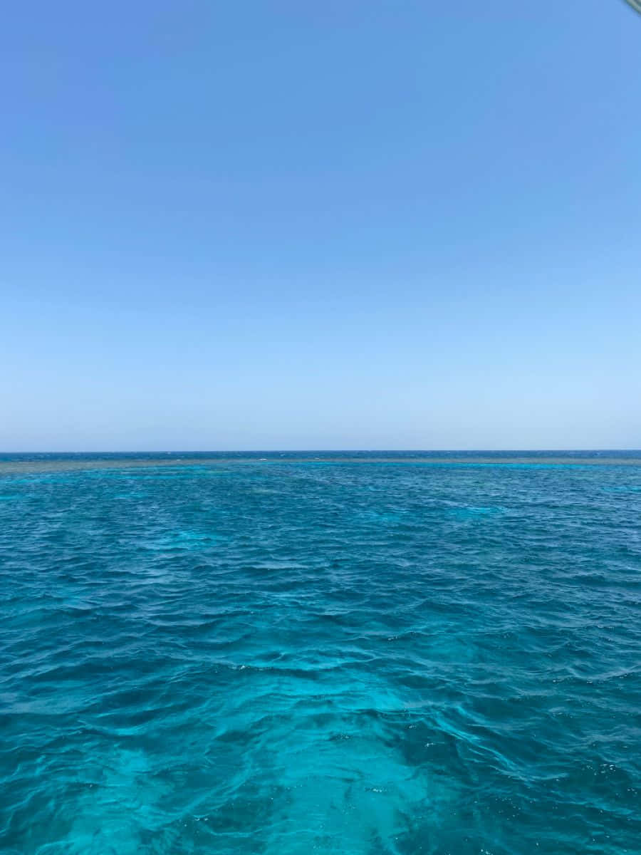 Blue Horizon 桌布 壁紙 — 廣闊的藍綠色海浪在清澈的藍天下蕩漾，遠處的珊瑚礁在地平線上可見。