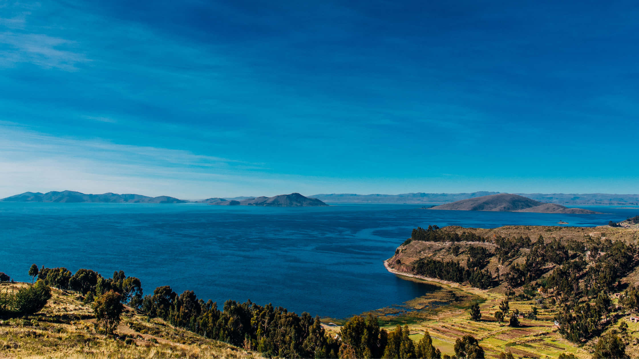 Bolivia 桌布 壁紙 — 廣闊的藍綠色湖泊在清澈的藍天下延伸，遠處有山脈和樹木成蔭的湖岸。