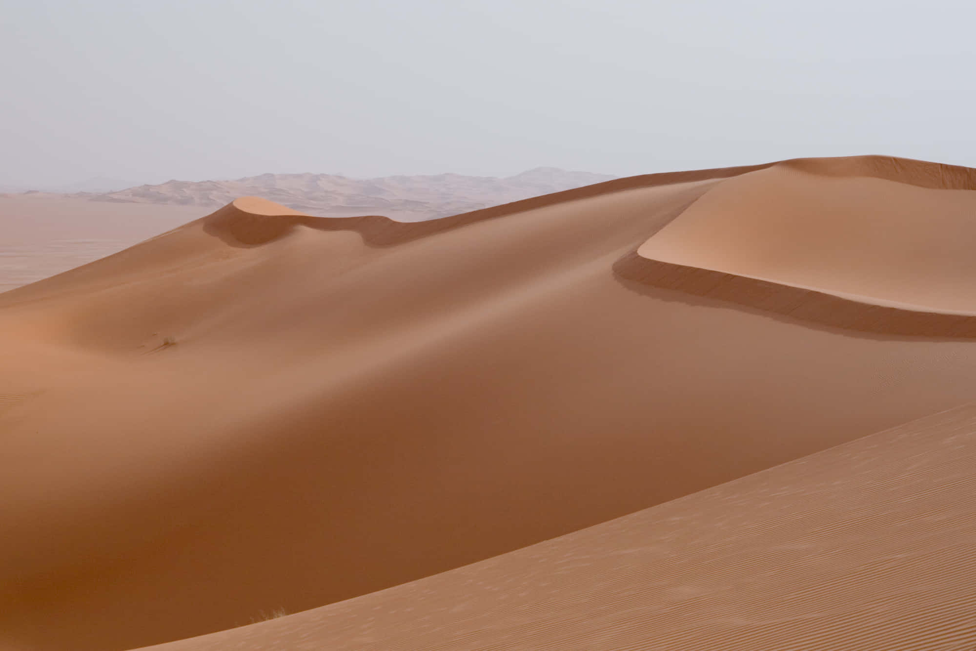 sand 桌布 壁紙 — 廣闊的金色沙丘在朦朧的天空下延伸，柔和的陰影勾勒出其蜿蜒的曲線。
