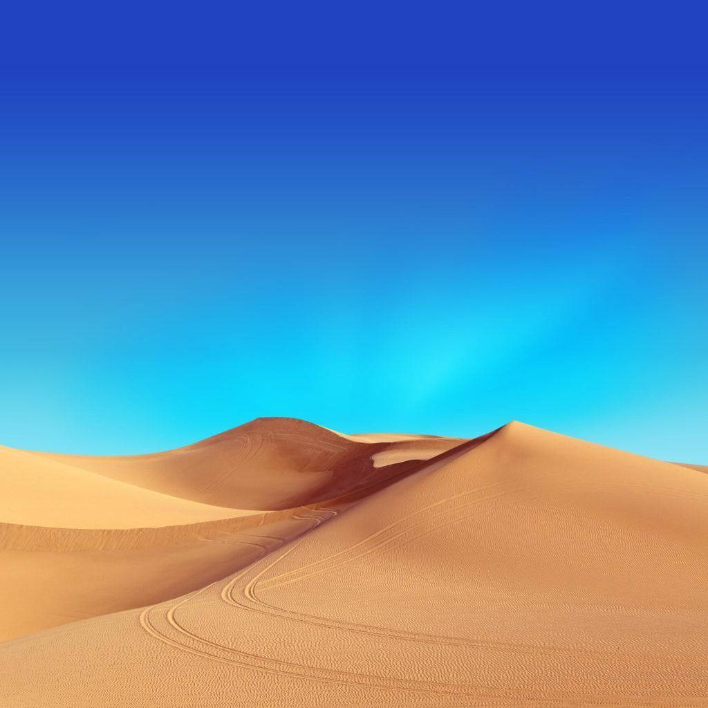 Desert 桌布 壁紙 — 廣闊的金色沙丘在清晰的漸變藍天下延伸，輪胎痕跡蜿蜒穿過沙漠。