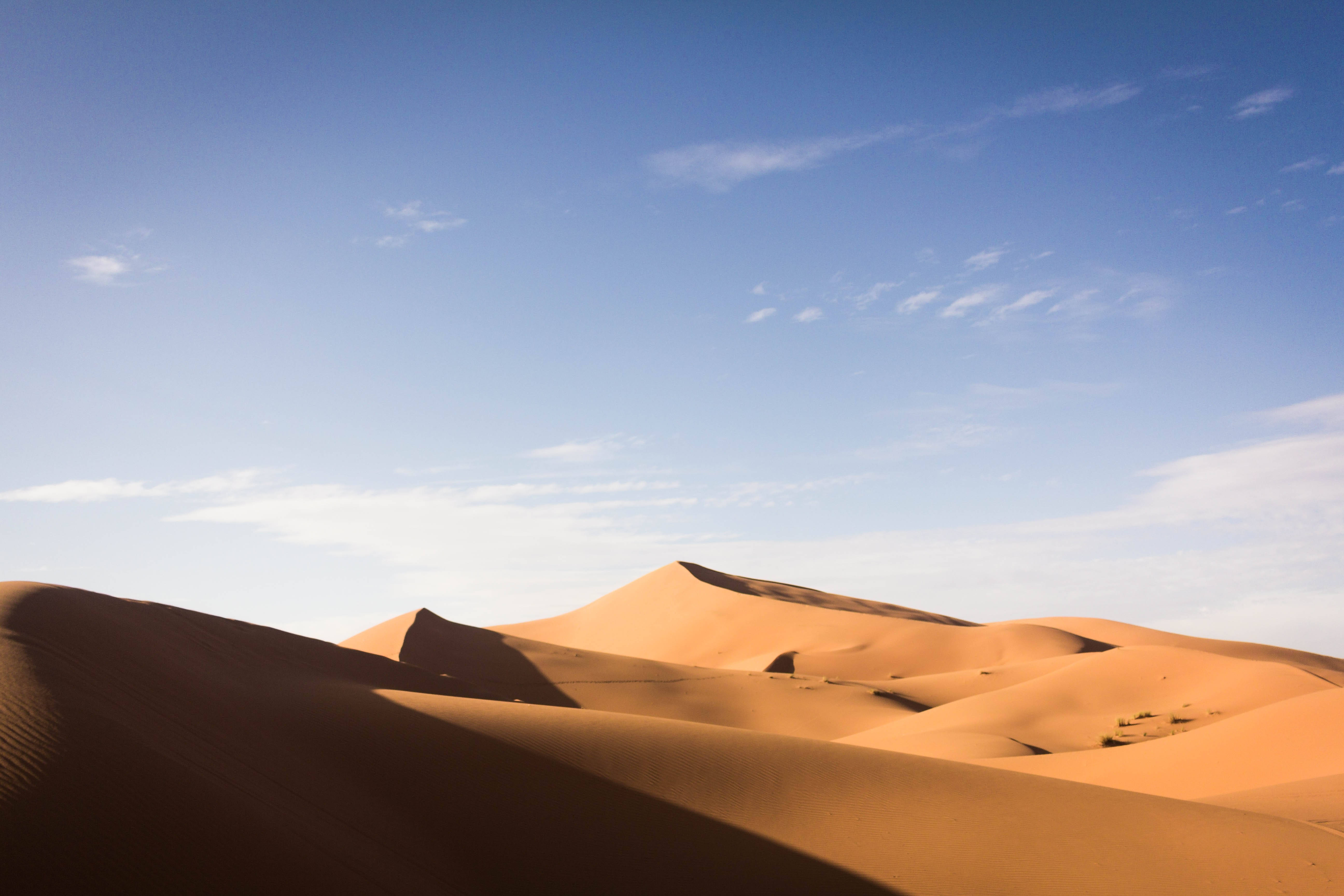 Sahara 桌布 壁紙 — 廣闊的金色沙丘在清澈的藍天下延伸，薄雲投下柔和的陰影。