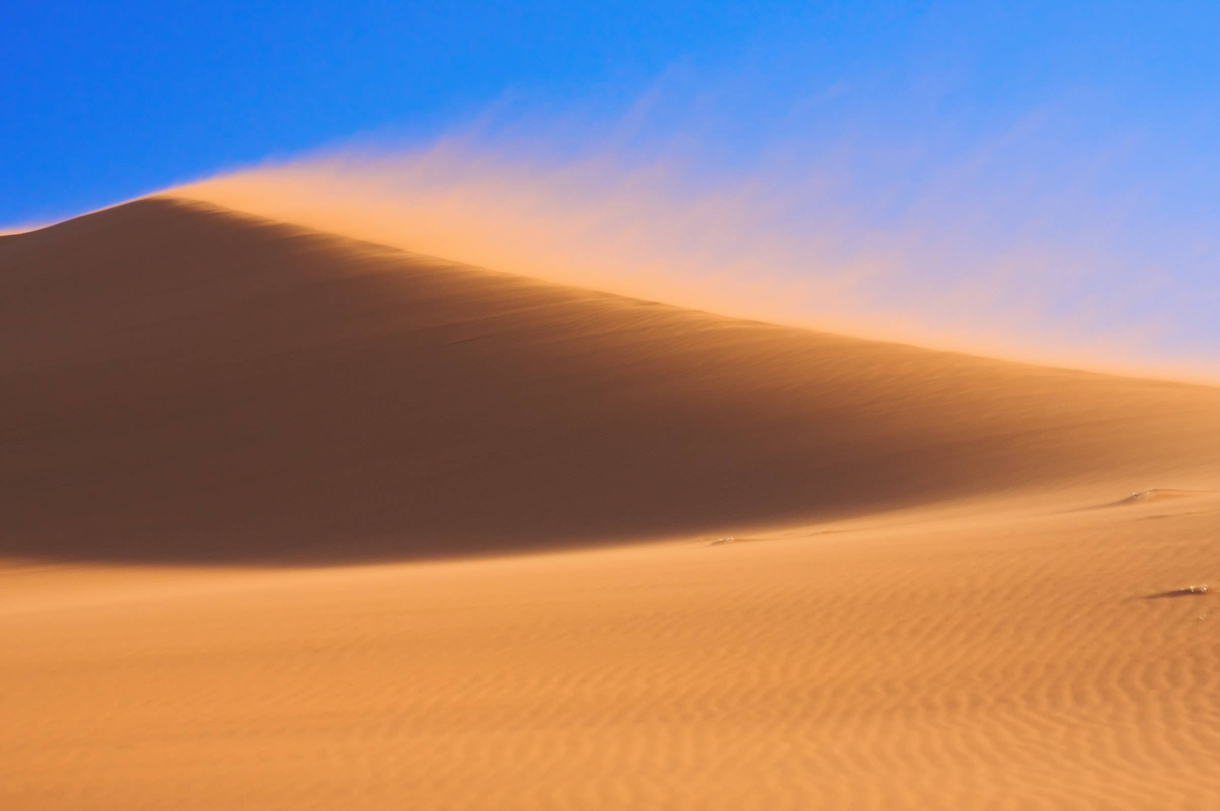 Desert 桌布 壁紙 — 廣闊的金色沙丘在清澈的藍天下彎曲，柔和的風吹起的塵埃沿著山脊飄散。