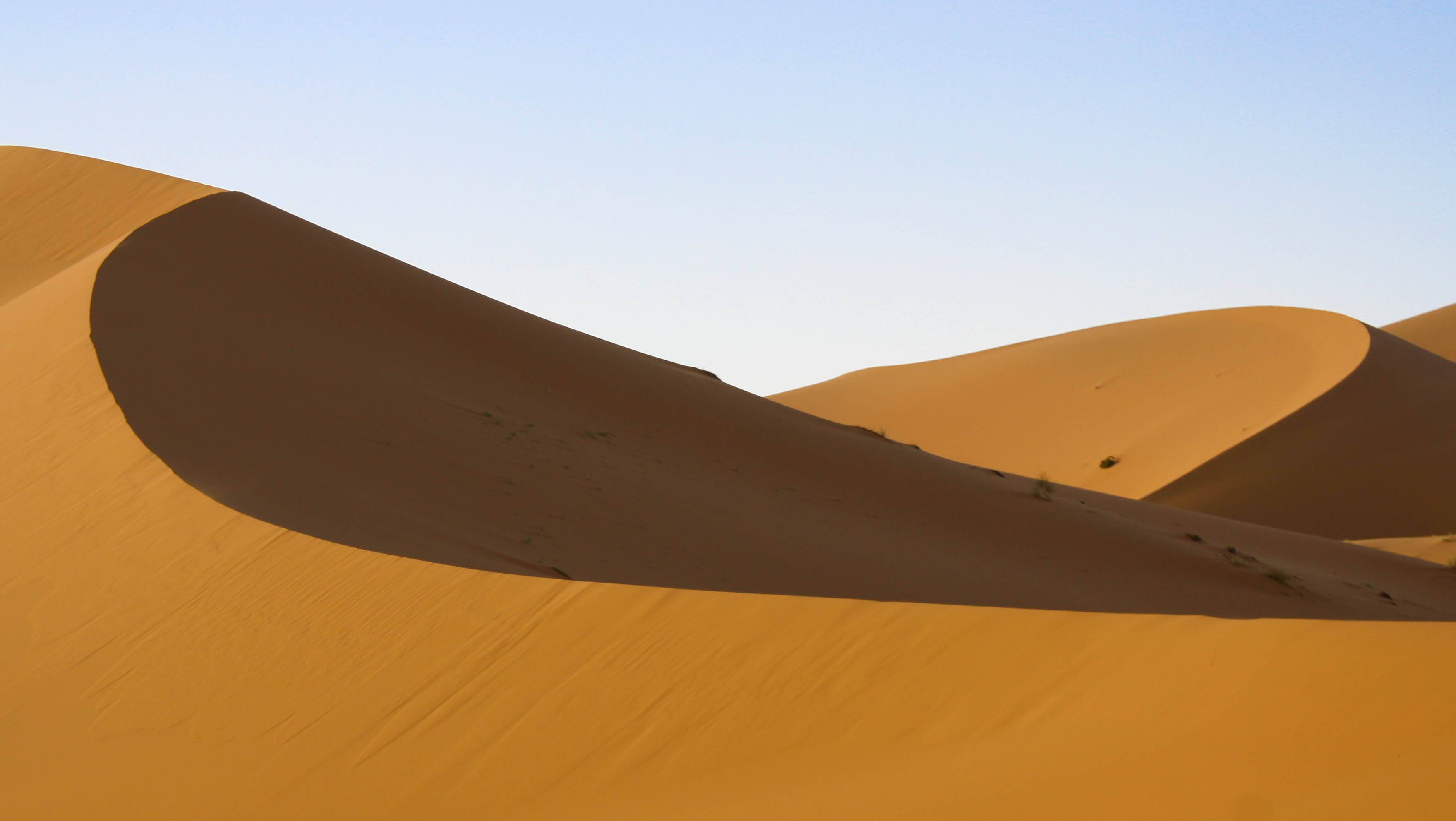 Sahara 桌布 壁紙 — 廣闊的金色沙丘在清澈的藍天下彎曲，在沙漠景觀中投下長長的陰影。