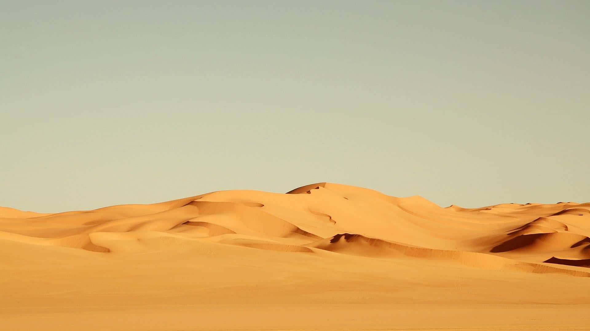 Sand Dunes 桌布 壁紙 — 廣闊的金色沙丘在蒼白的天空下延伸，呈現寧靜的沙漠景觀。