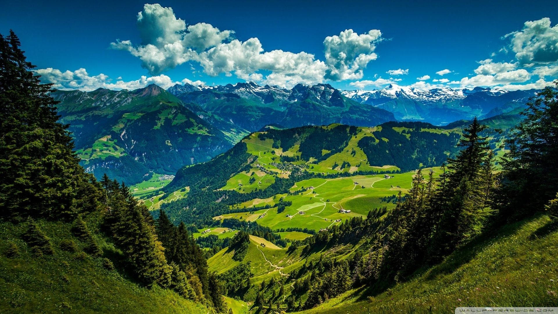 山景 桌布 壁紙 — 廣闊的阿爾卑斯山谷，翠綠的草地和白雪覆蓋的山峰，在明亮的藍天和蓬鬆的白雲下。