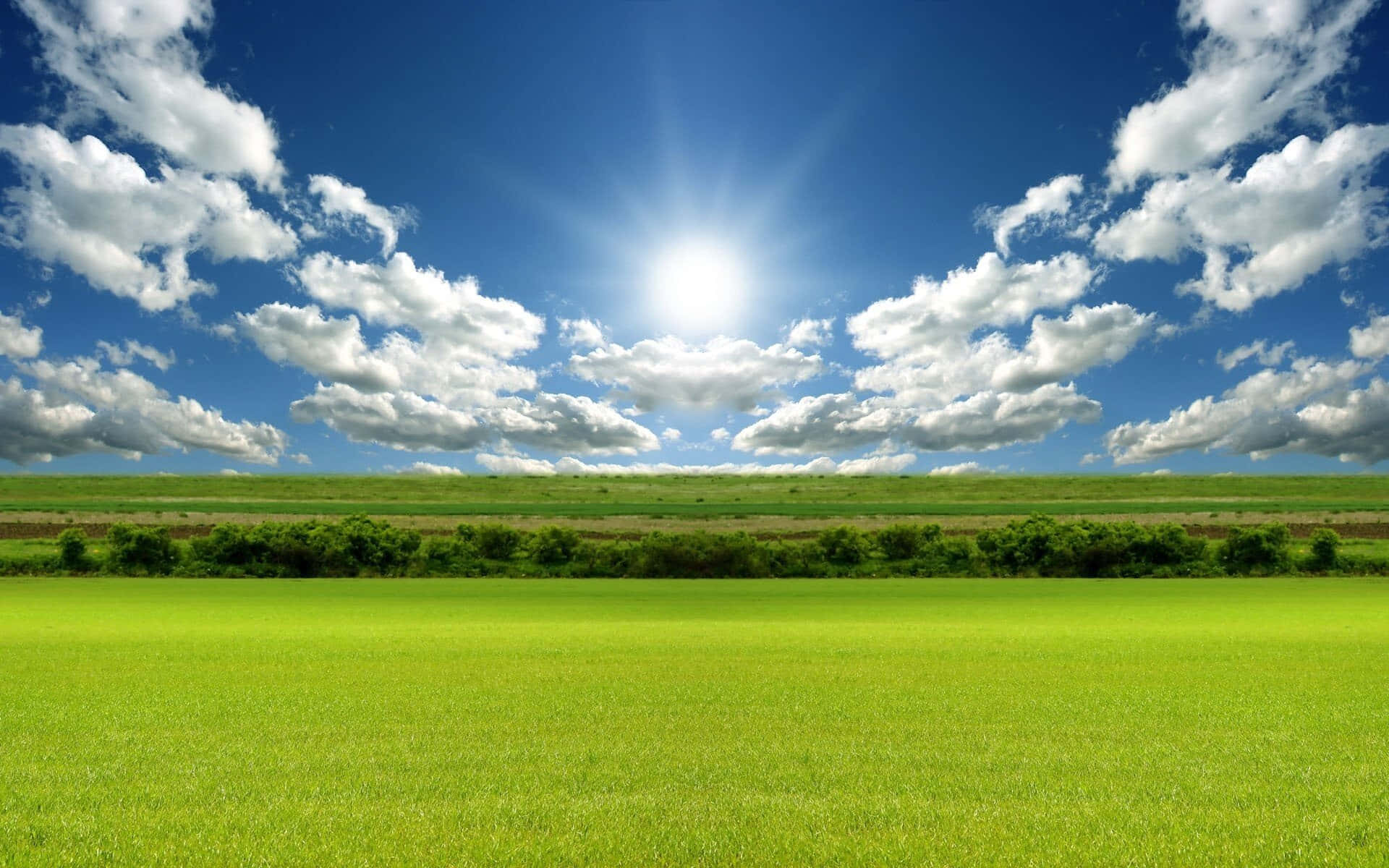 Bright 桌布 壁紙 — 廣闊的陽光普照的綠色田野在點綴著蓬鬆白雲的燦爛藍天下延伸。