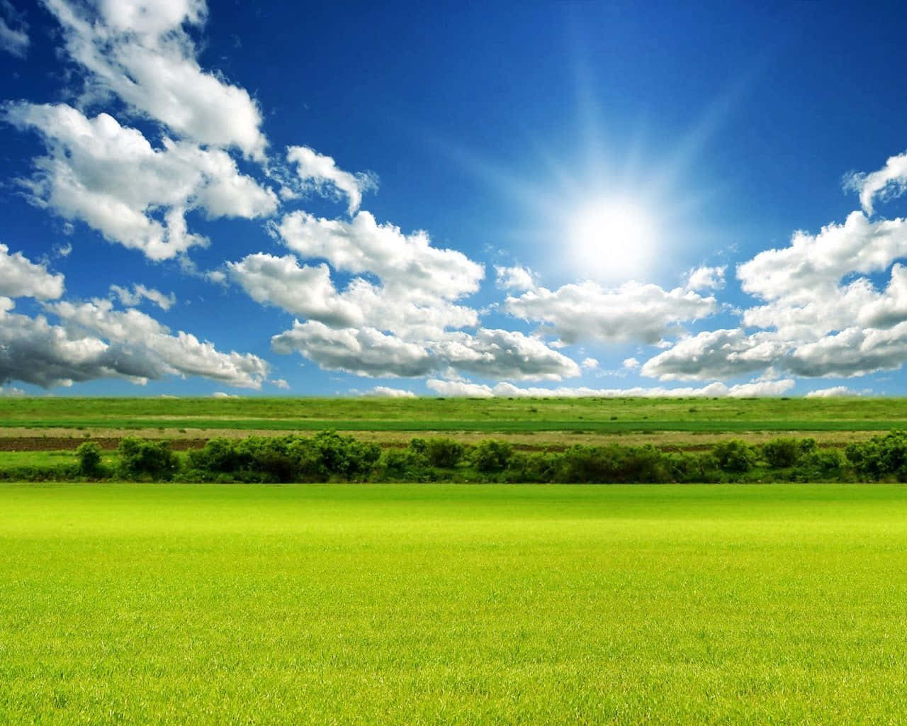 sunny 桌布 壁紙 — 廣闊的陽光普照的綠色田野在點綴著蓬鬆白雲的明亮藍天下延伸。