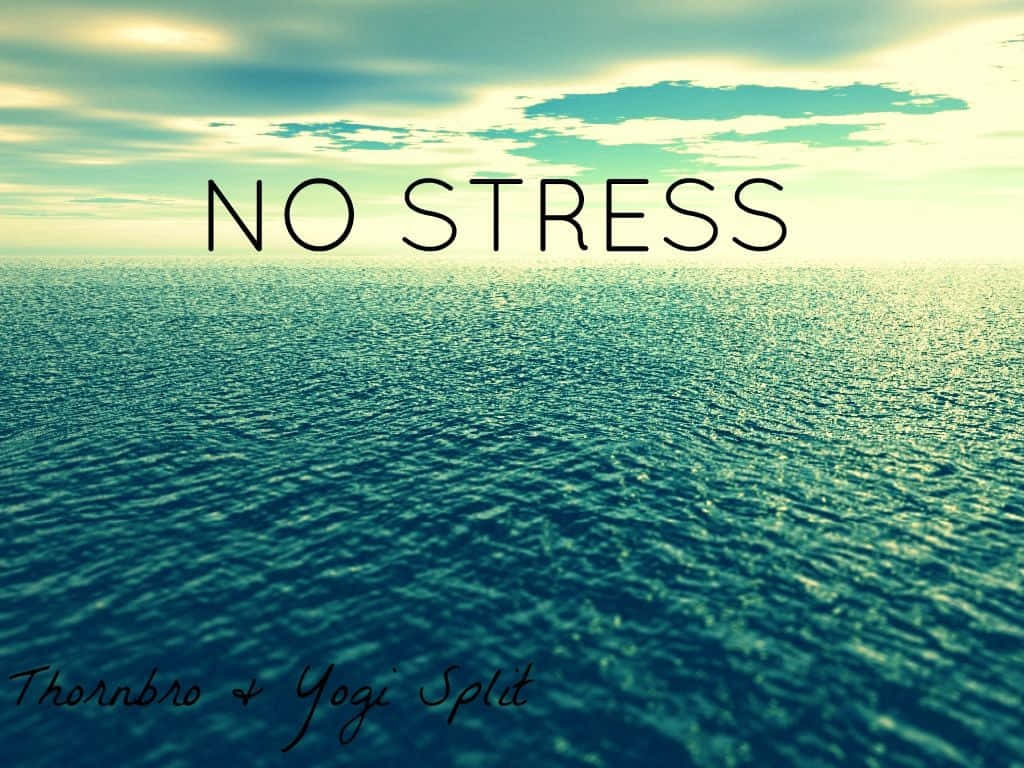stressed 桌布 壁紙 — 廣闊的青綠色海洋，柔和天空下，粗體文字 no stress 傳達平靜感。