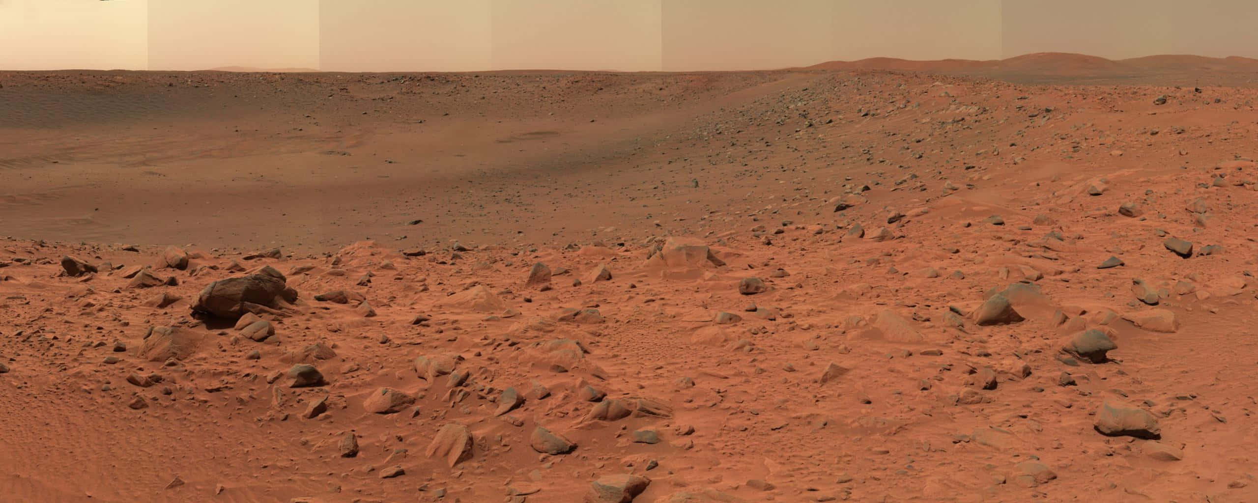 Mars Landscape 桌布 壁紙 — 廣闊荒涼的火星景觀，鏽紅色的土壤上散落著岩石，天空呈現朦朧的橙色。