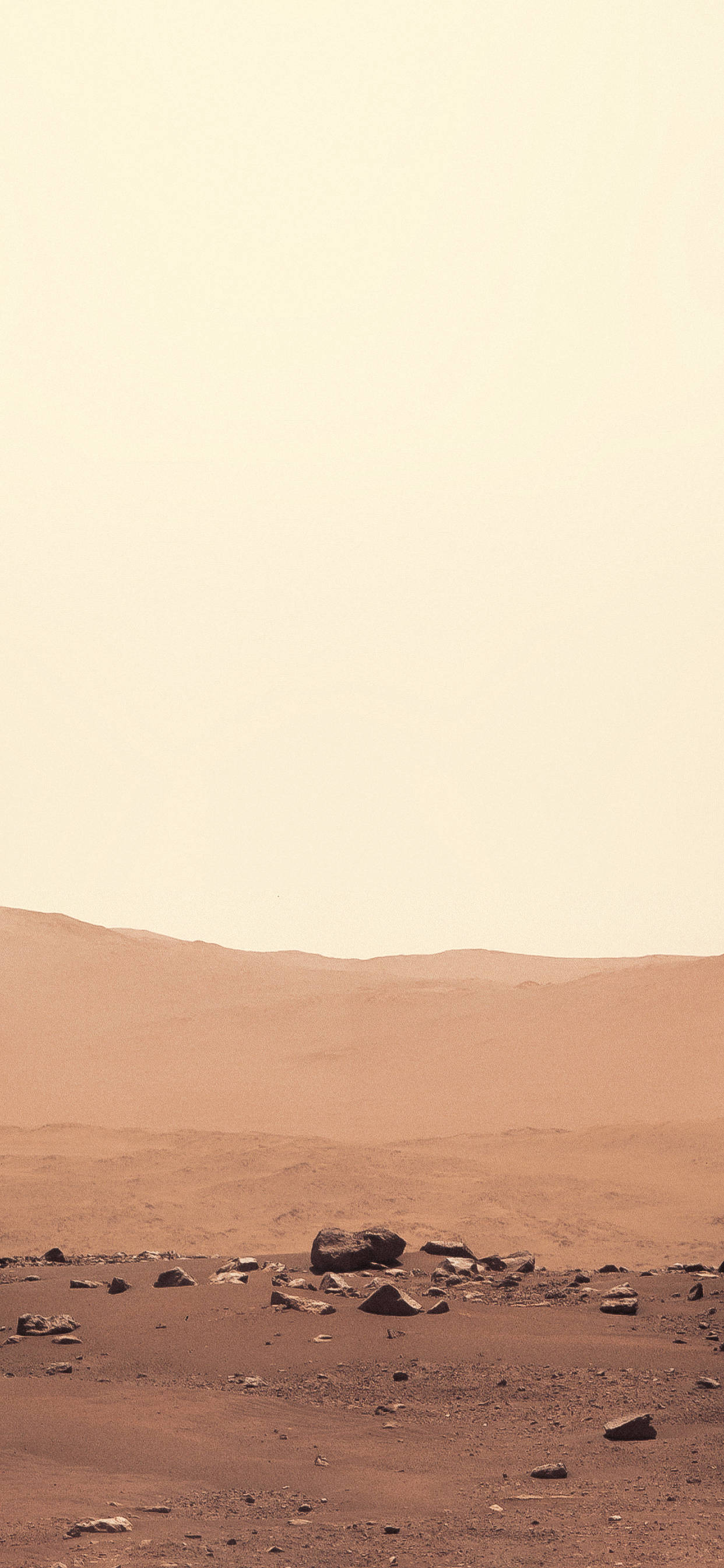Mars iPhone 桌布 壁紙 — 廣闊荒蕪的火星景觀，帶有微紅色的土壤、散落的岩石，以及廣闊地平線下朦朧蒼白的天空。