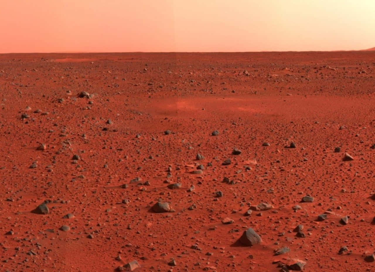 Mars Landscape 桌布 壁紙 — 廣闊荒蕪的火星景觀，橙色天空下佈滿紅色塵埃和散落的岩石。