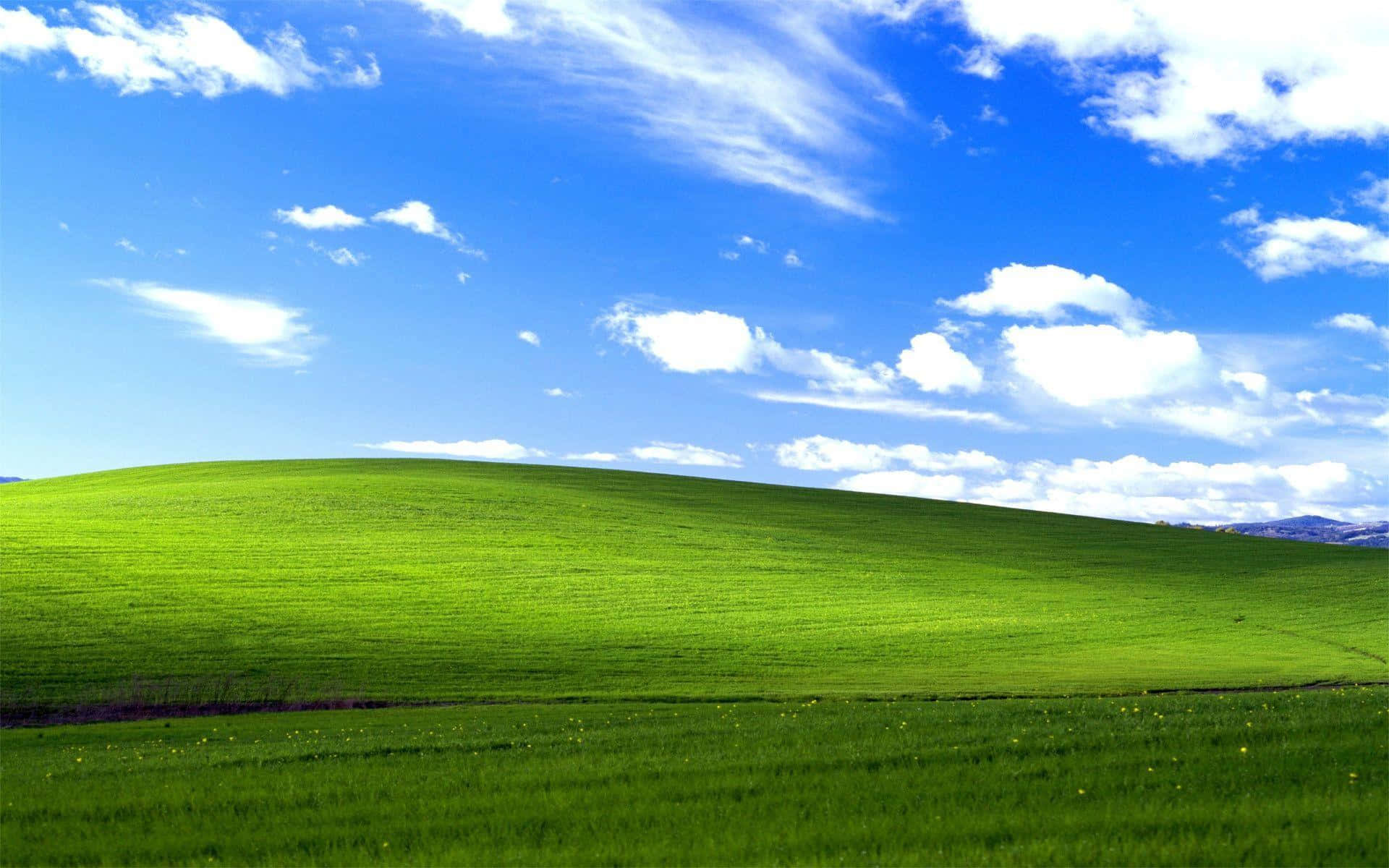 Windows 7 桌布 壁紙 — 廣闊起伏的綠色山丘在明亮的藍天下延伸，點綴著蓬鬆的白雲。