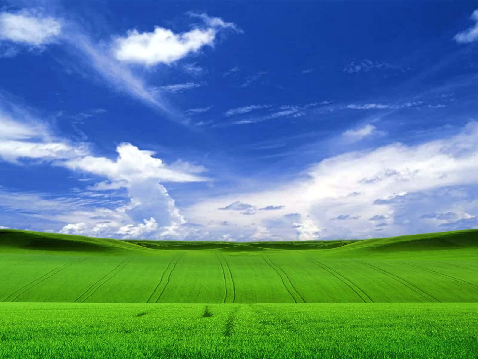 Windows XP 桌布 壁紙 — 廣闊起伏的綠色田野在明亮的藍天下延伸，點綴著蓬鬆的白雲。