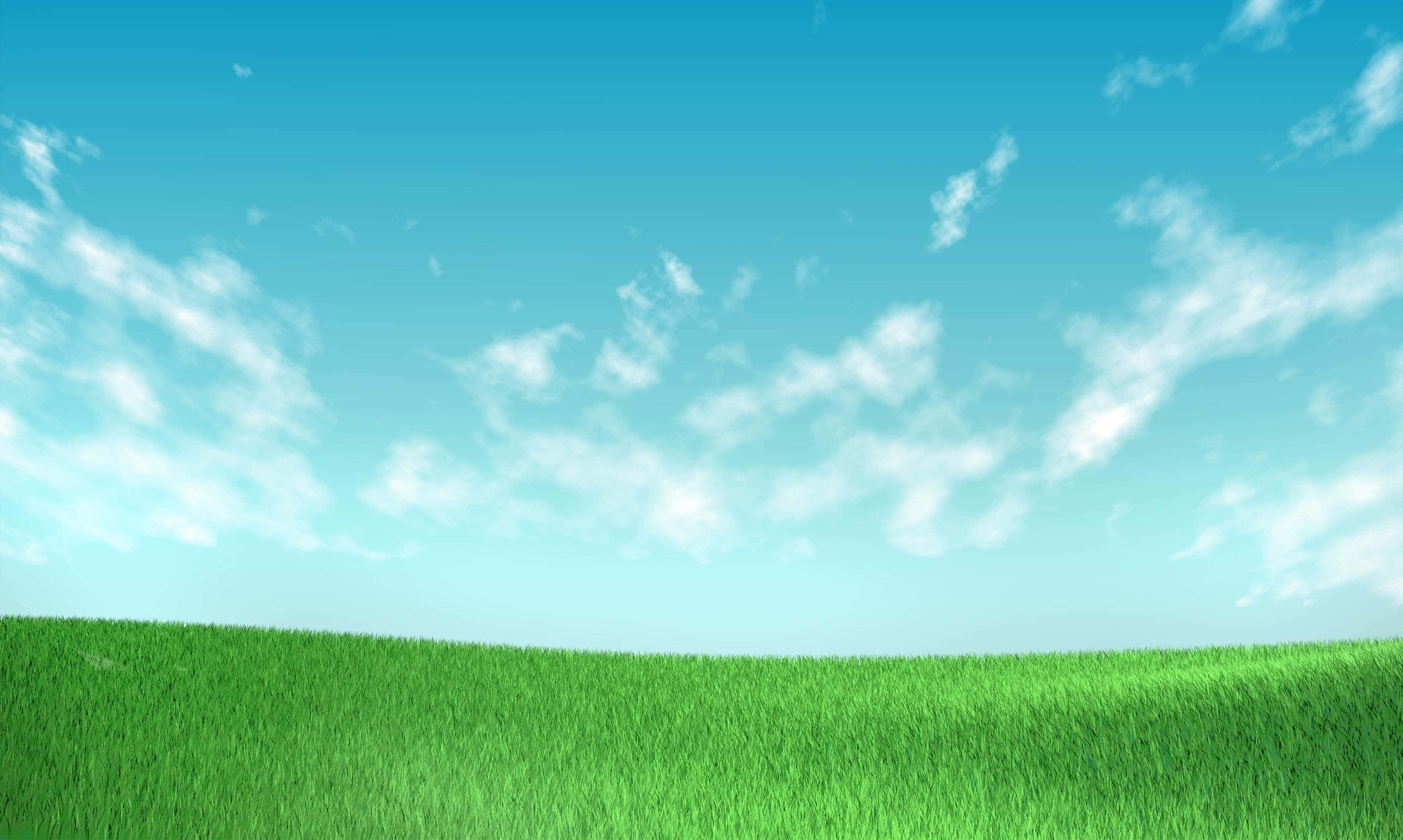 Minimalist Nature 桌布 壁紙 — 廣闊起伏的綠色草地，上方是明亮的藍天和縷縷白雲。