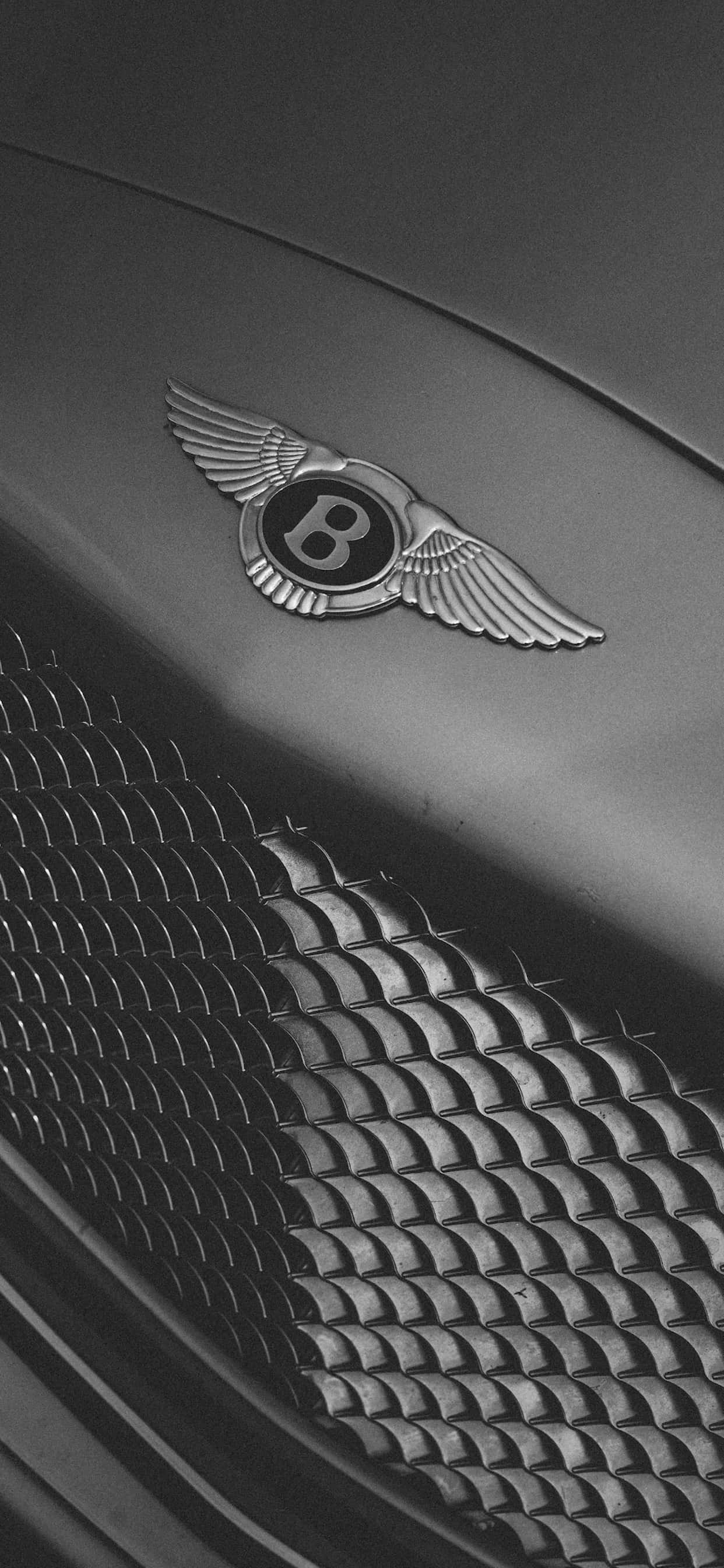 標誌 桌布 壁紙 — 引擎蓋上 Bentley 標誌的特寫黑白照片，下方為帶紋理的格柵。