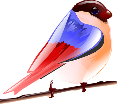 彩色向量鳥類插畫 壁紙