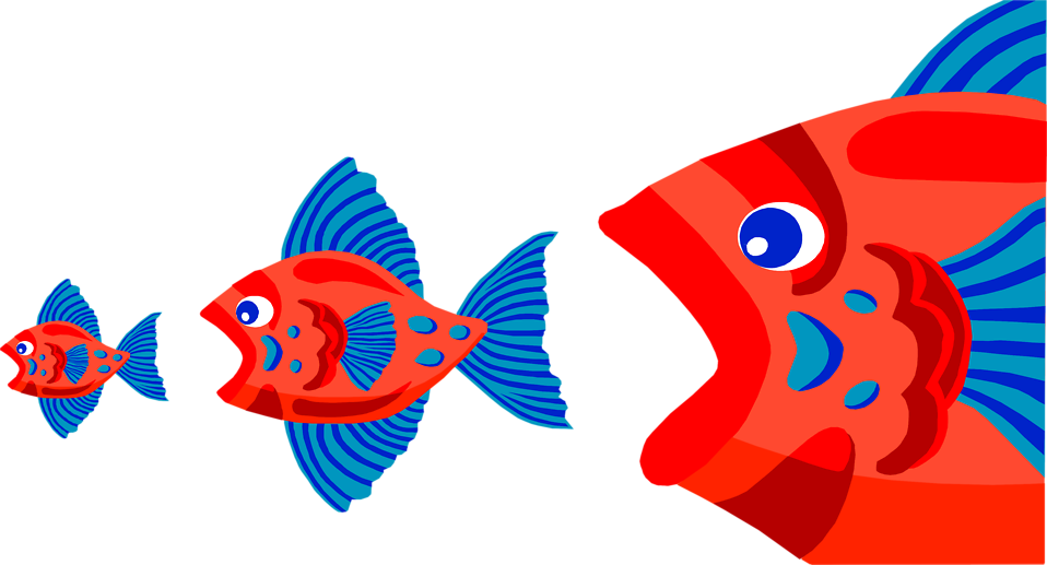 彩色魚卡通插圖 壁紙