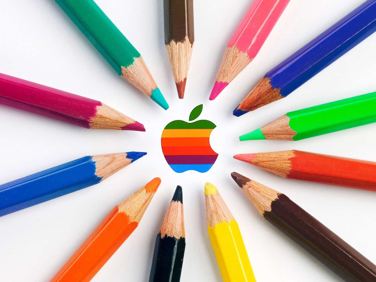 彩色動圖 桌布 壁紙 — 彩虹Apple標誌被彩色鉛筆以圓形圖案排列在白色背景上。