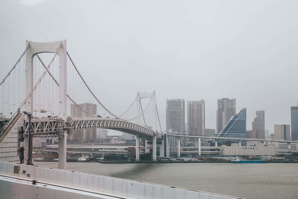 Rainbow Bridge 桌布 壁紙 — 彩虹橋橫跨一條寬闊的河流，天空多雲，背景是現代化的摩天大樓。