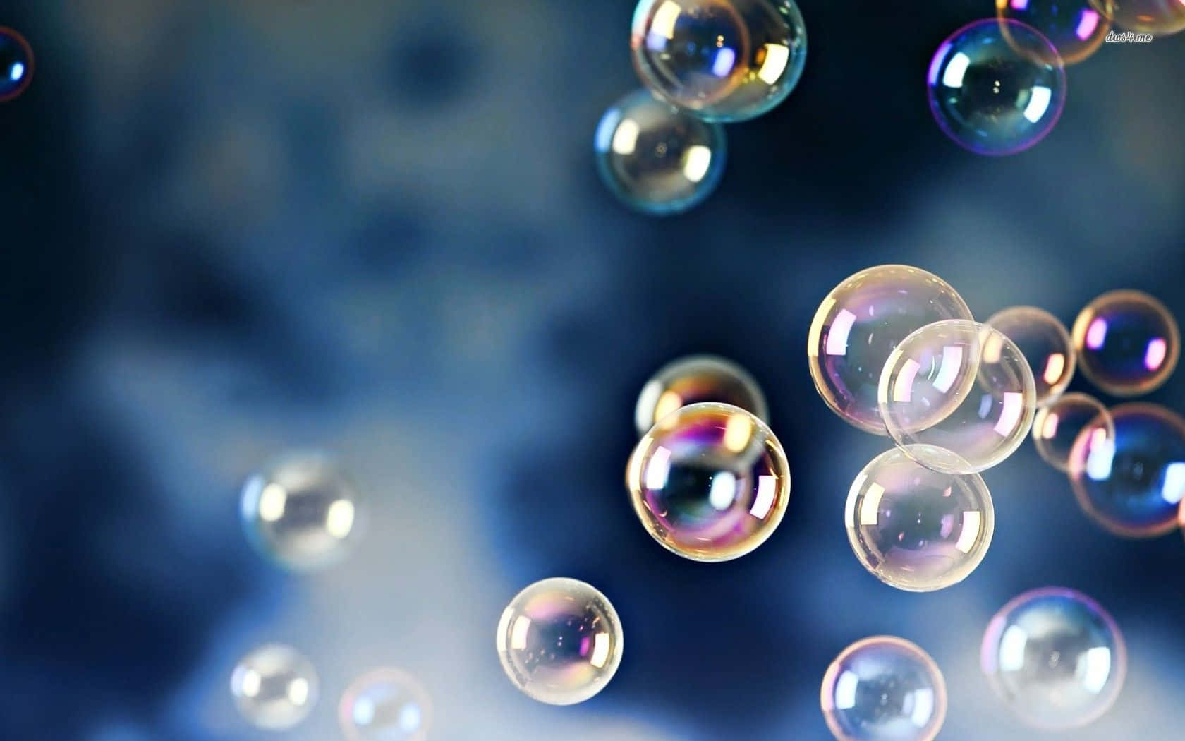 Bubbles 桌布 壁紙 — 彩虹色的肥皂泡在柔和的藍色模糊背景上優雅地漂浮，反射光線。