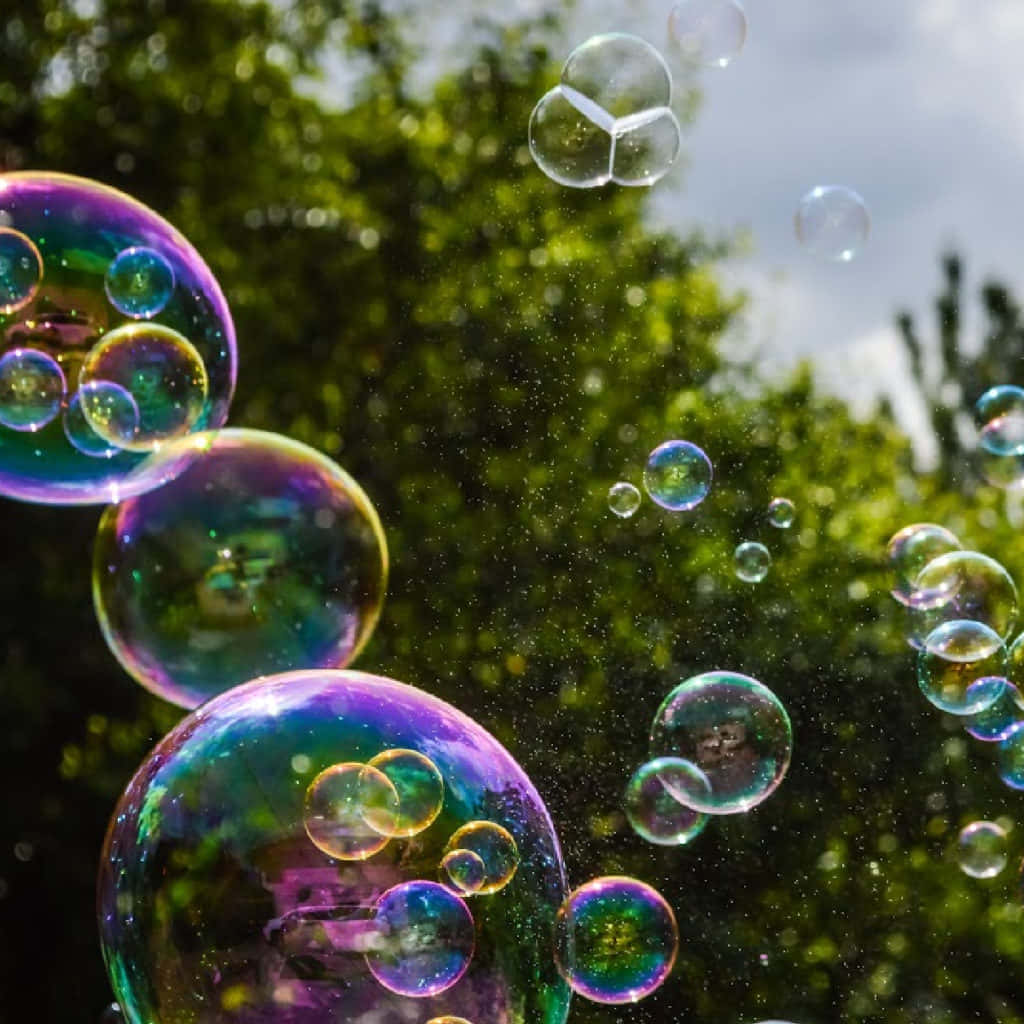Bubble 桌布 壁紙 — 彩虹色的肥皂泡在茂密的綠樹和明亮的天空背景下漂浮閃爍。