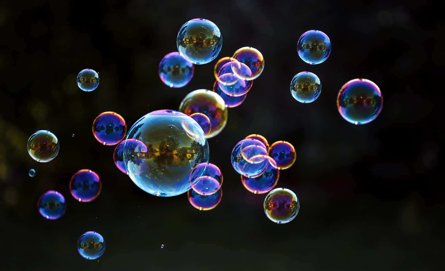 Bubble 桌布 壁紙 — 彩虹色的肥皂泡在黑暗模糊的背景上優雅地漂浮，反射著金色的光芒。