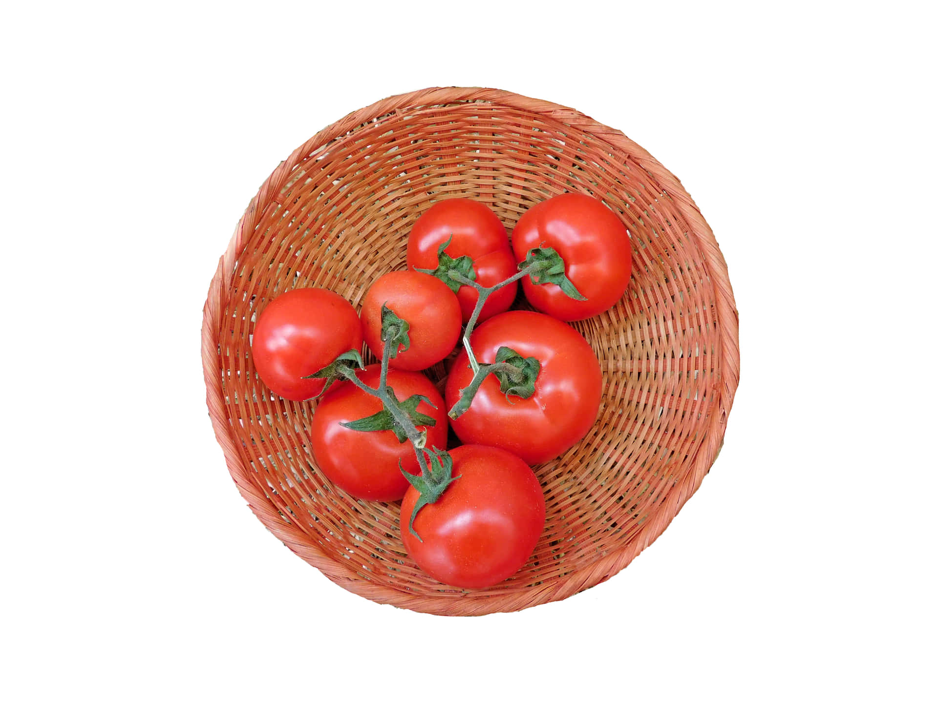 Tomatoes on white background 壁紙 — 從上方俯瞰七個鮮紅番茄仍連著綠色藤蔓，安放在一個編織棕色籃子裡，背景為純白色。