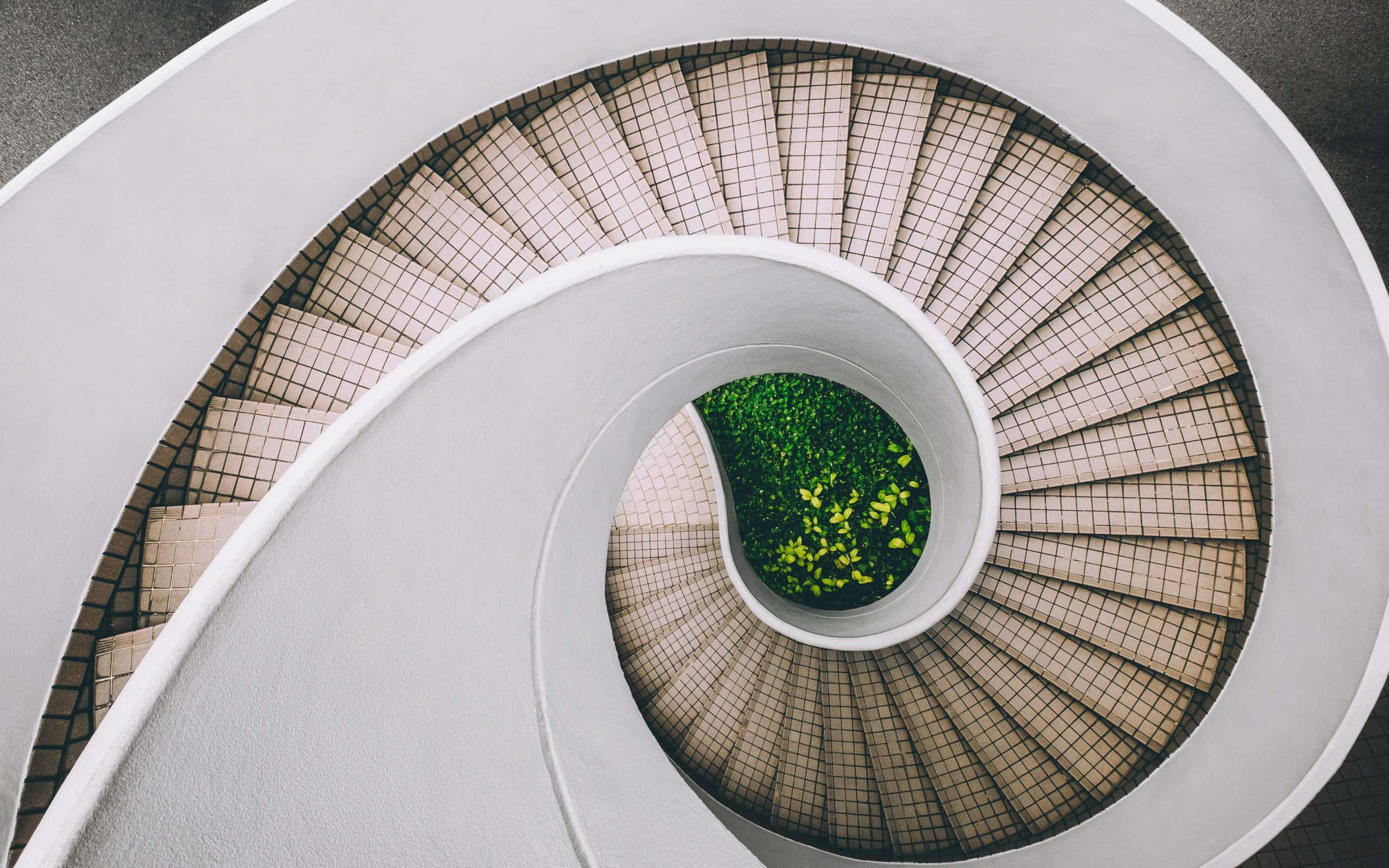 stairs 桌布 壁紙 — 從上方俯瞰白色螺旋樓梯，瓷磚台階通向充滿活力的綠色植物中心。