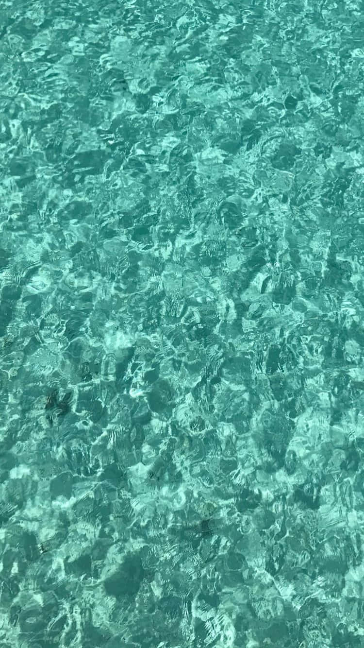 Water 桌布 壁紙 — 從上方俯瞰閃爍的碧綠海水，帶有輕柔漣漪和陽光反射。