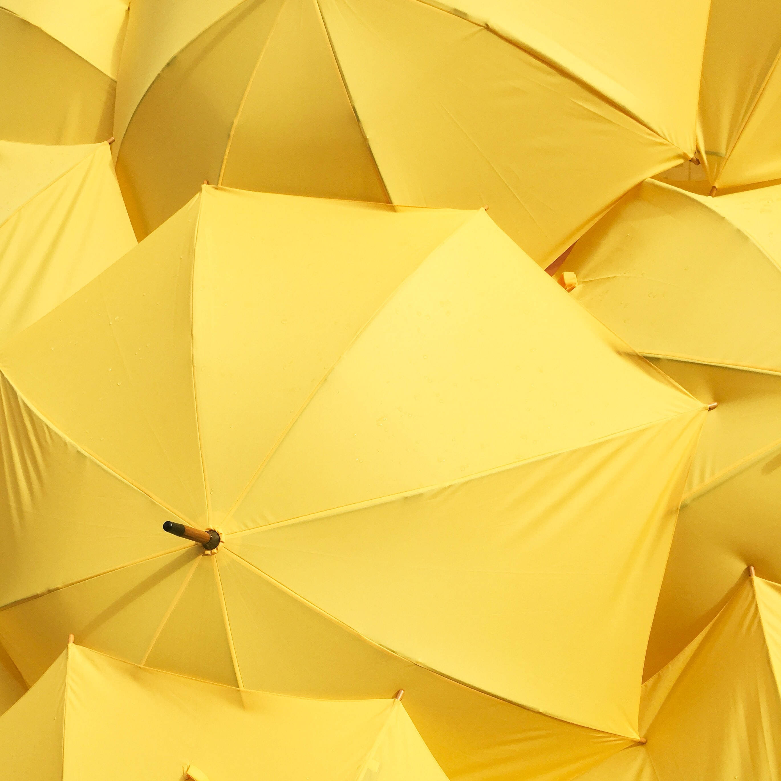 美學圖案動畫 桌布 壁紙 — 從上方觀看的密集開放黃色雨傘圖案，營造出溫暖的幾何遮篷。