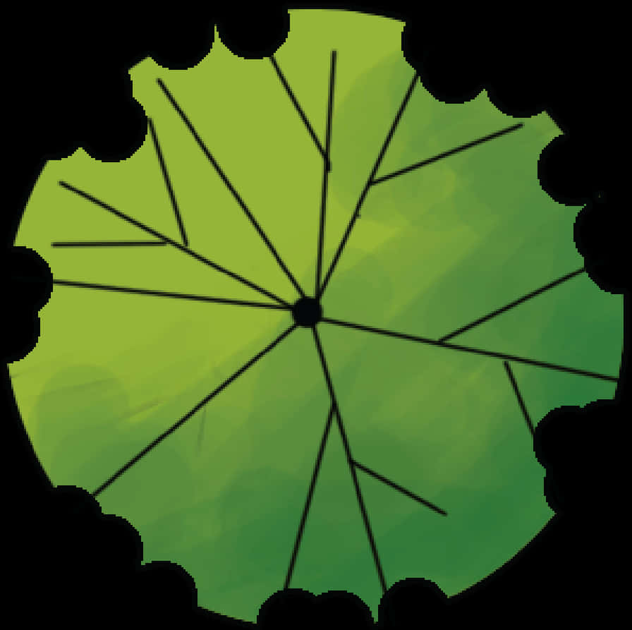 樹木 桌布 壁紙 — 從上方觀看的風格化綠色雨傘，帶有黑色放射線和扇形黑色邊緣。