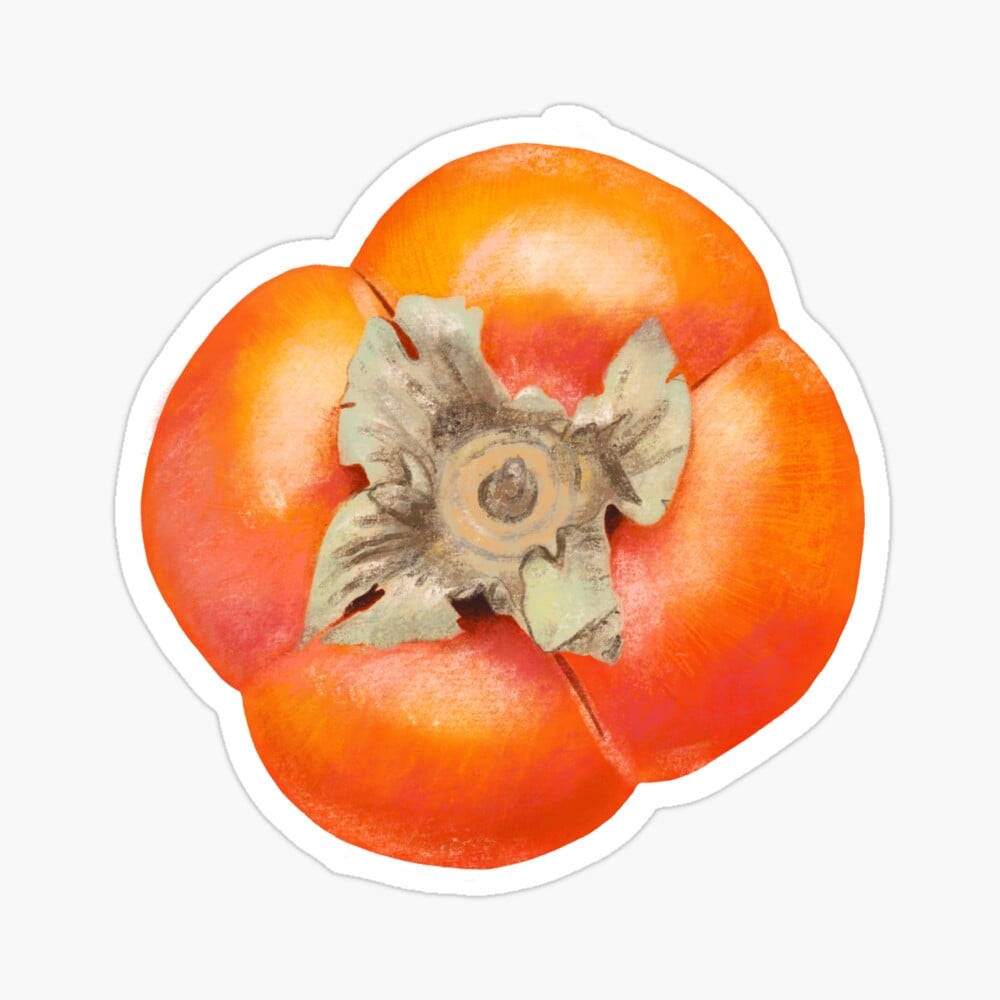 Fruit 桌布 壁紙 — 從上方觀看的鮮豔水彩風格柿子，帶有詳細的乾燥莖，背景簡潔。