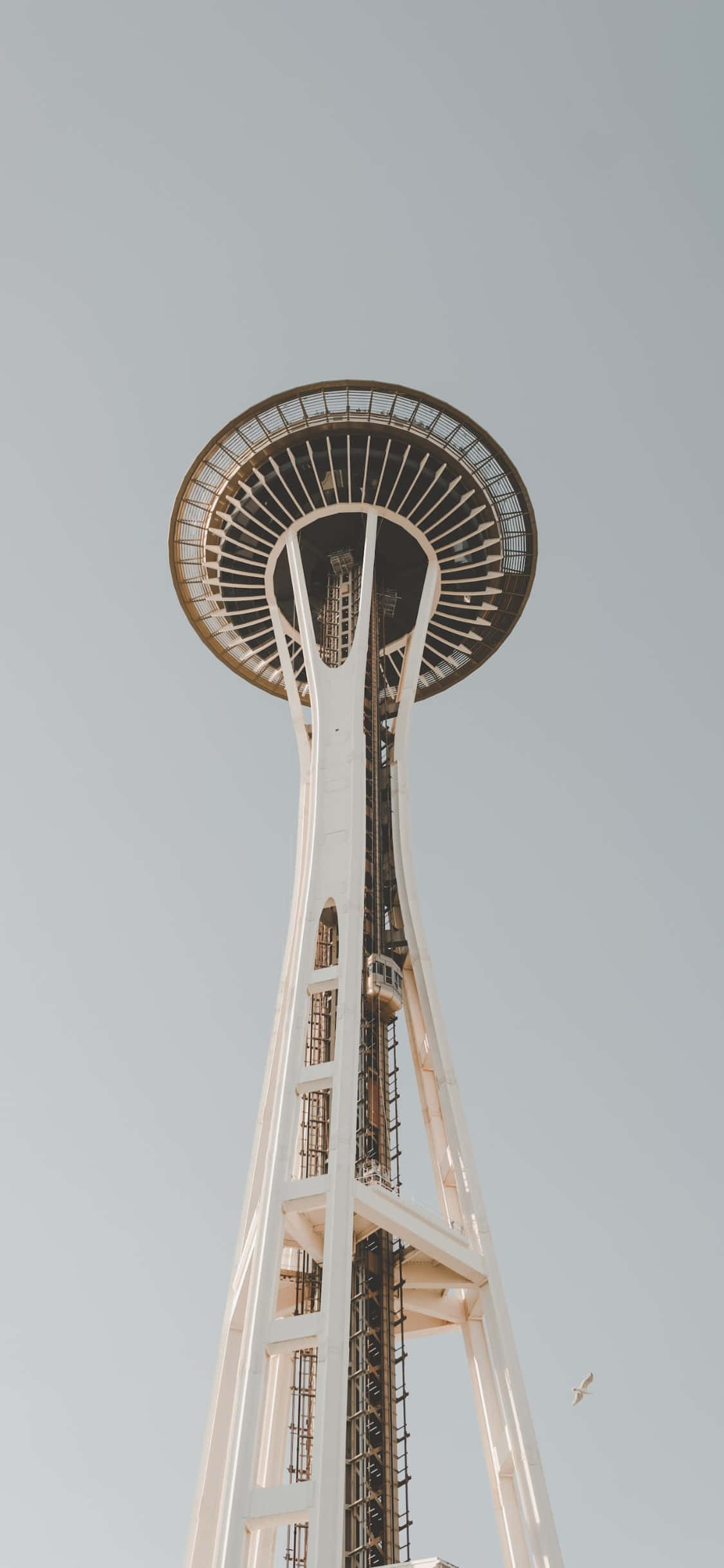 iPhone X Seattle 桌布 壁紙 — 從低角度觀看西雅圖標誌性的太空針塔，背景是淺灰色的天空，有一隻鳥在飛翔。