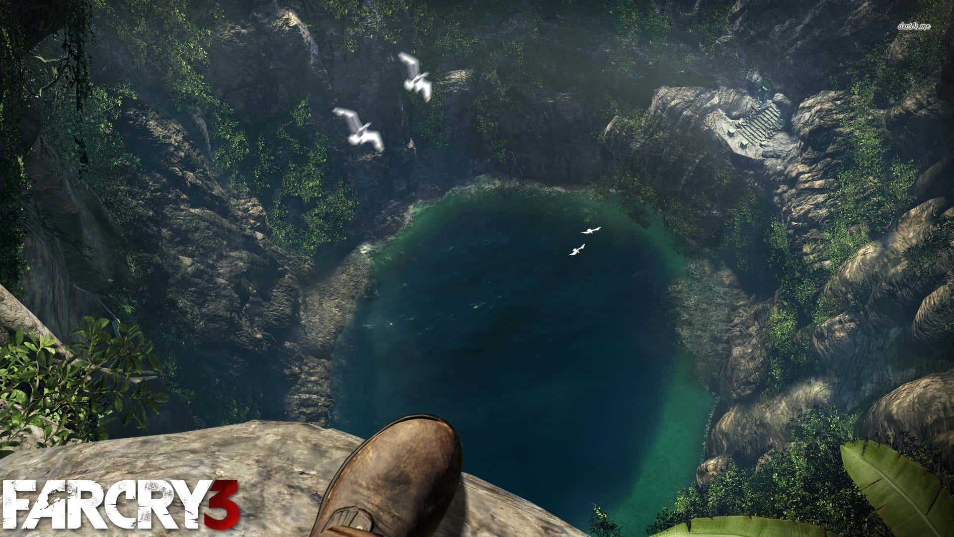 Far Cry 3 桌布 壁紙 — 從懸崖俯瞰被茂密叢林包圍的碧綠潟湖的第一人稱視角，白色鳥兒在頭頂飛翔。