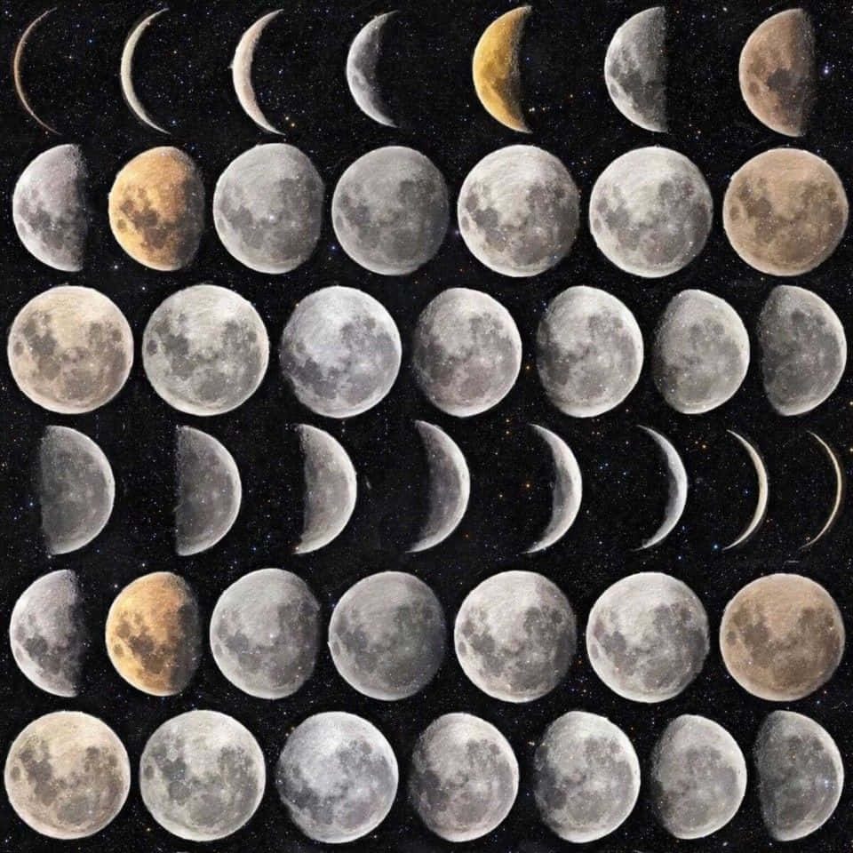 Moon Phases 桌布 壁紙 — 從新月到滿月的月相網格，以星空夜空為背景，帶有微妙的色彩變化。