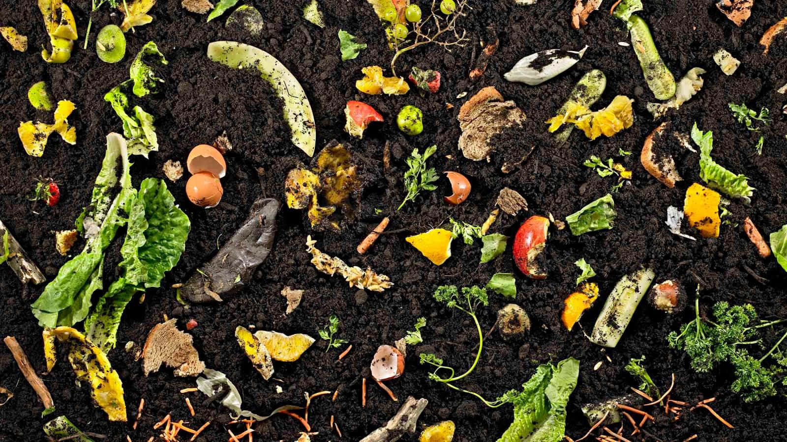Compost 桌布 壁紙 — 從正上方俯瞰富含深色土壤，散落著色彩繽紛的有機廢物，如蔬菜皮、蛋殼和香草。