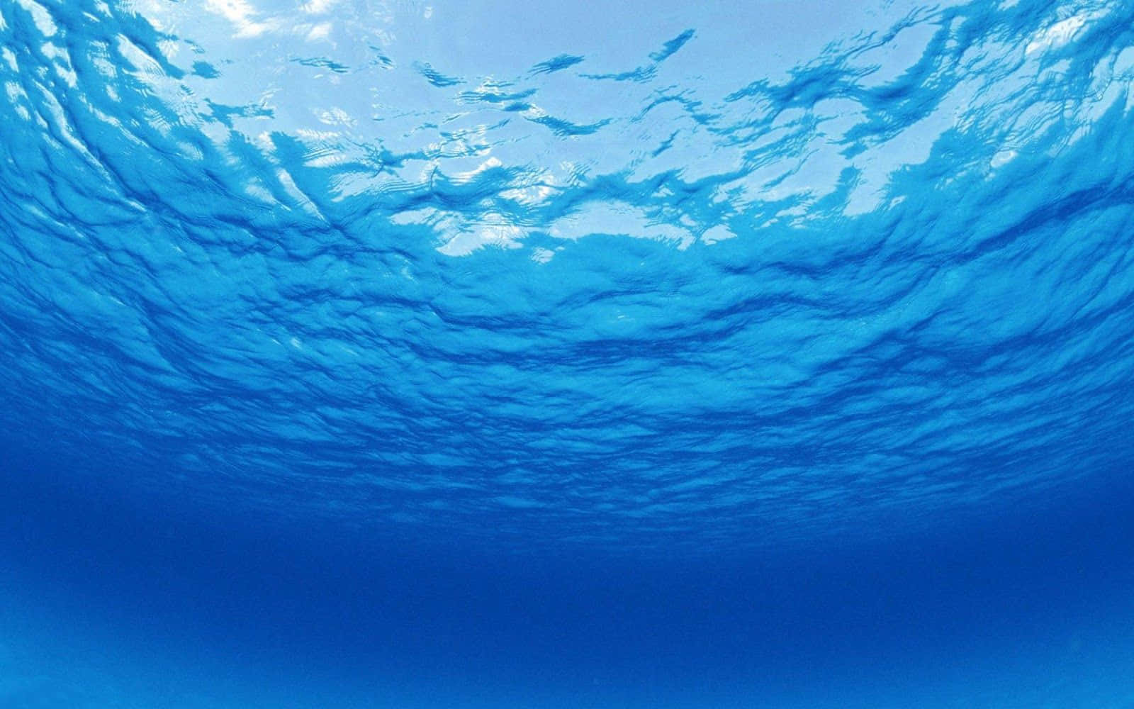 海洋 桌布 壁紙 — 從水下仰望，穿過漣漪的藍色海面，望向明亮的天空。