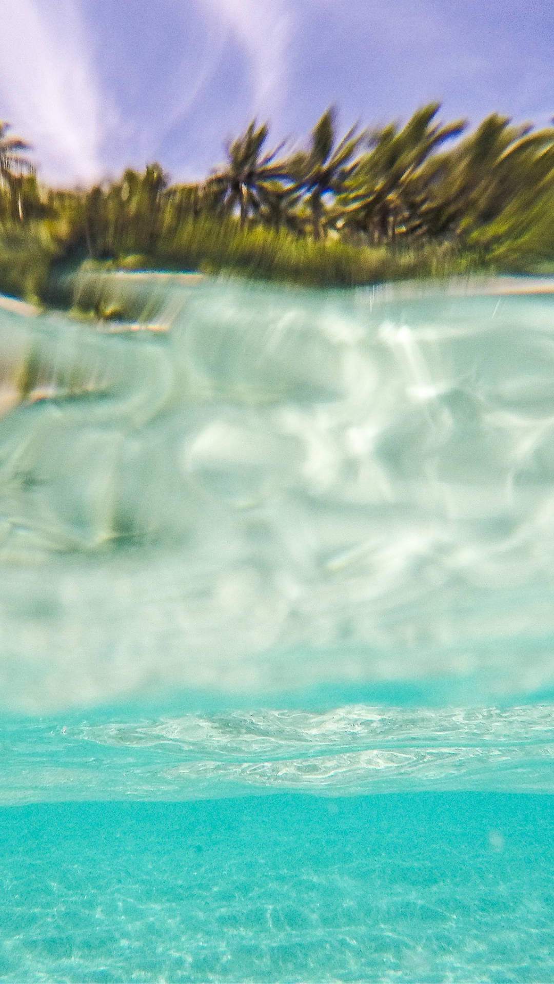 Summer Vibes 桌布 壁紙 — 從水下視角觀看的陽光沙灘上棕櫚樹與碧綠海水的分割視圖。