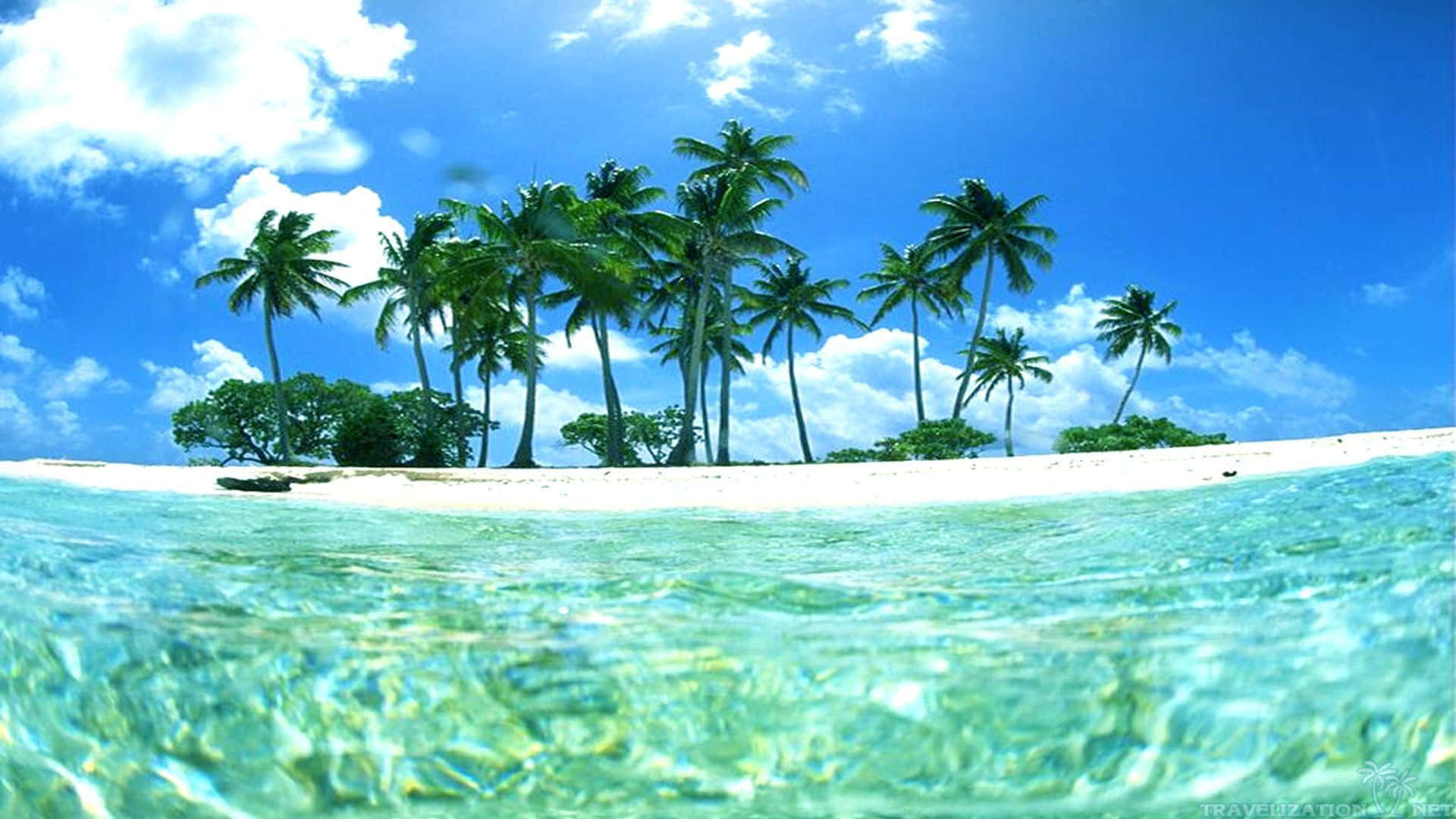 Tropical Beach 桌布 壁紙 — 從水下觀看一個充滿活力的熱帶島嶼，擁有茂密的棕櫚樹和白色沙灘，以及清澈見底的碧綠海水。