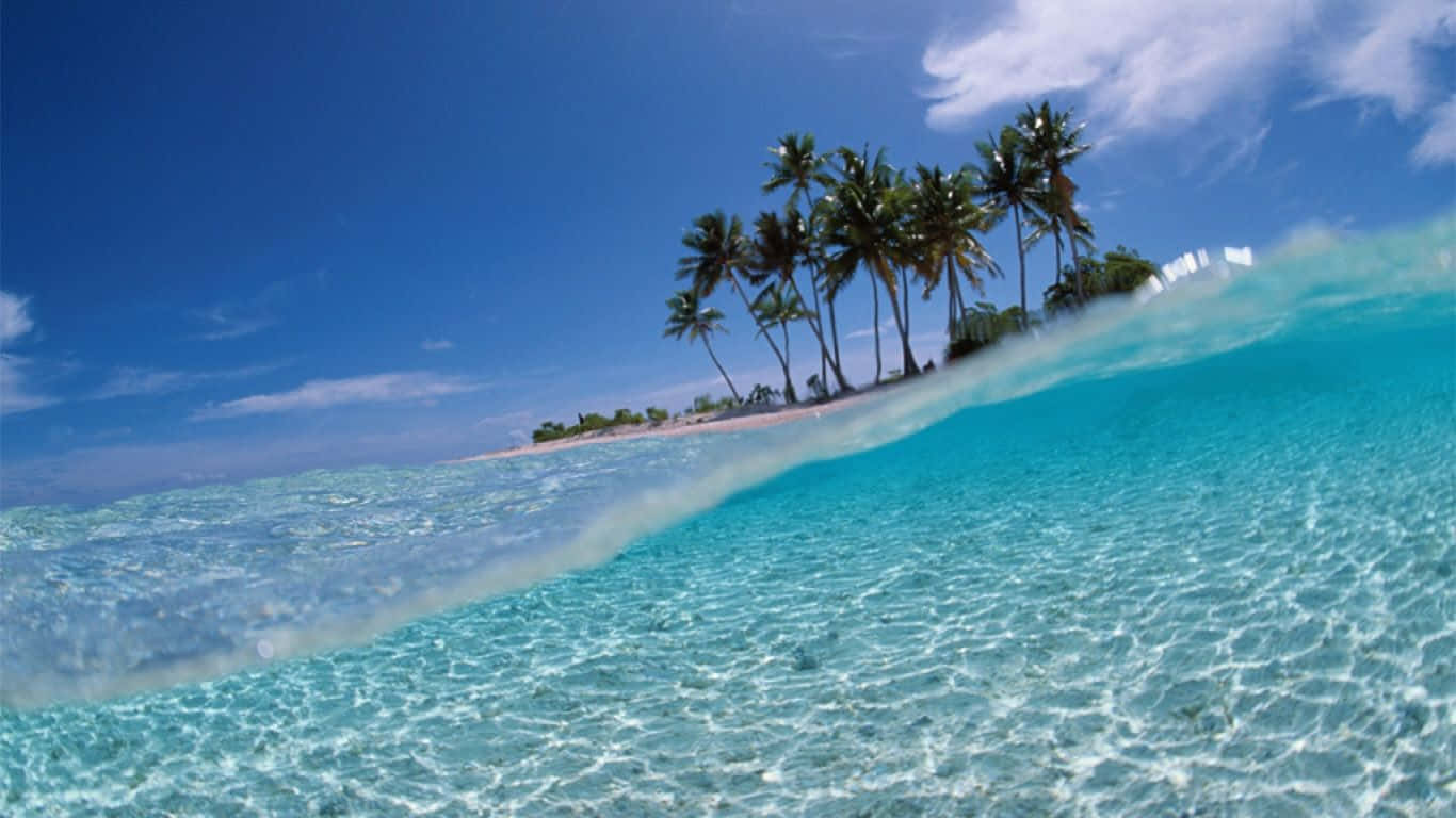 從浪底仰望的大海景色 壁紙