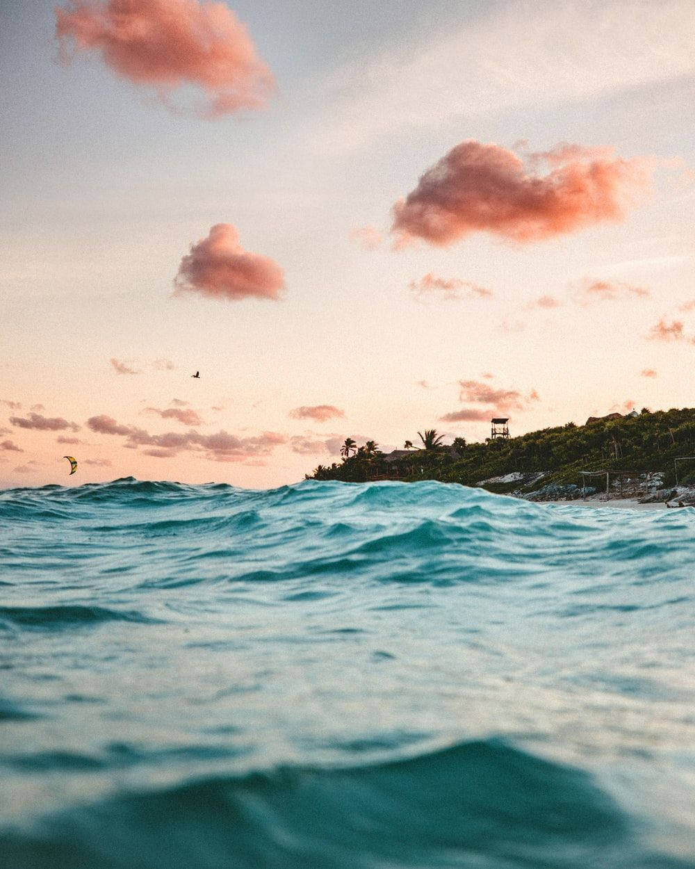 海洋 桌布 壁紙 — 從海浪低角度觀賞日落，粉紅雲彩和遠處的風箏衝浪者靠近熱帶海岸。