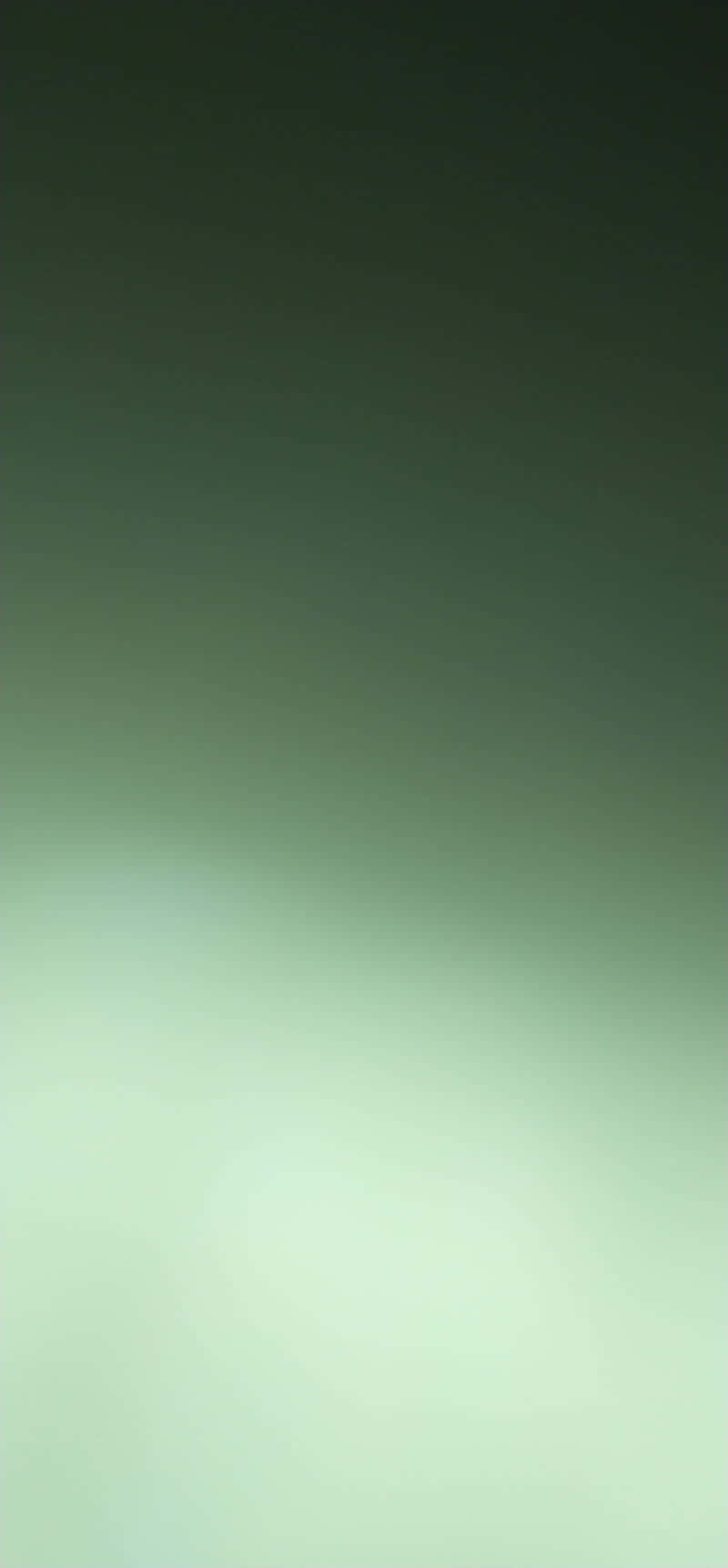 彩色動圖 桌布 壁紙 — 從深綠色過渡到柔和薄荷綠的寧靜漸變桌布，帶有微妙的光線擴散效果。