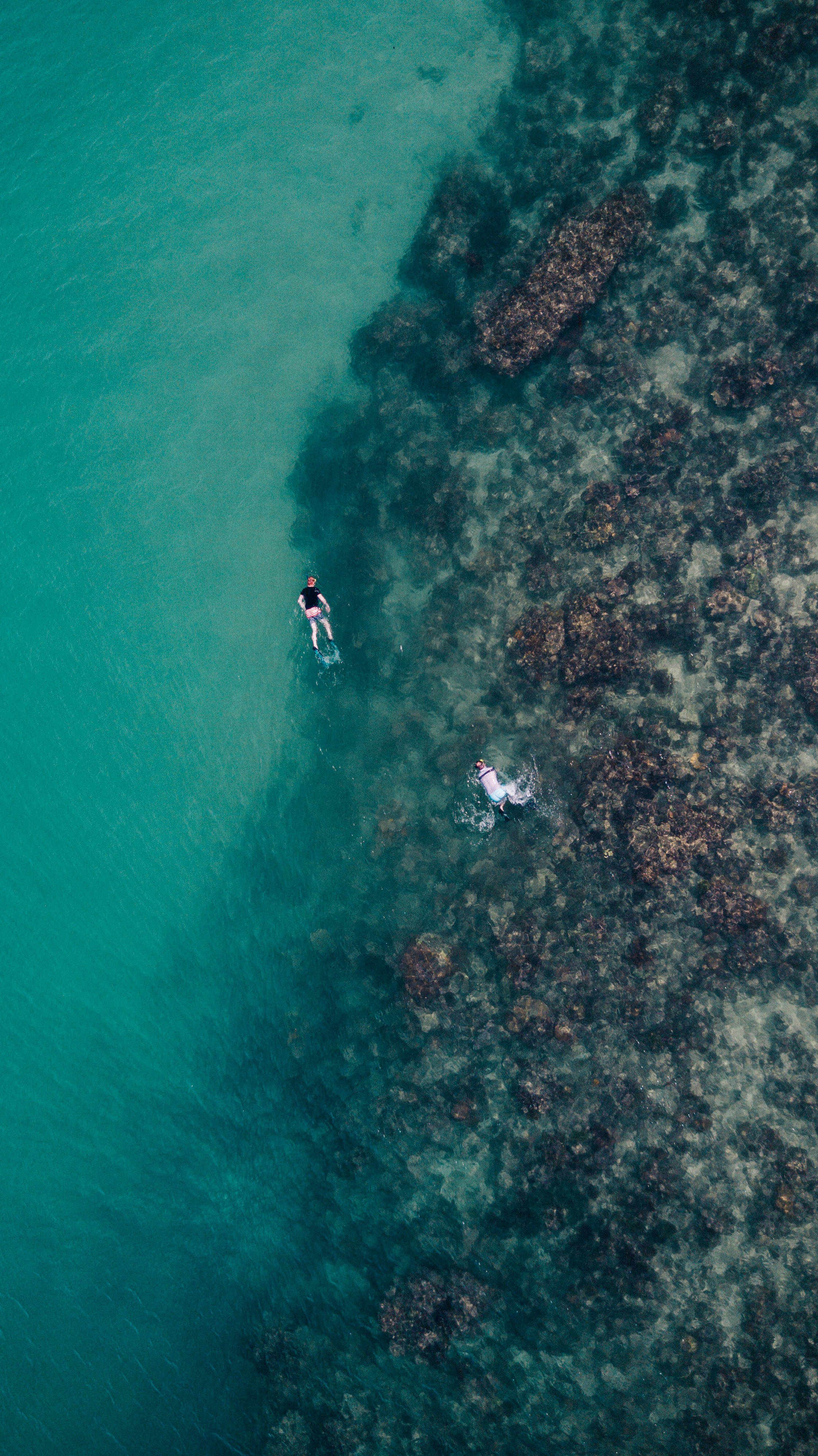 Snorkeling 桌布 壁紙 — 從空中俯瞰，兩人在清澈碧綠的海水中，在岩石礁旁平靜地漂浮。