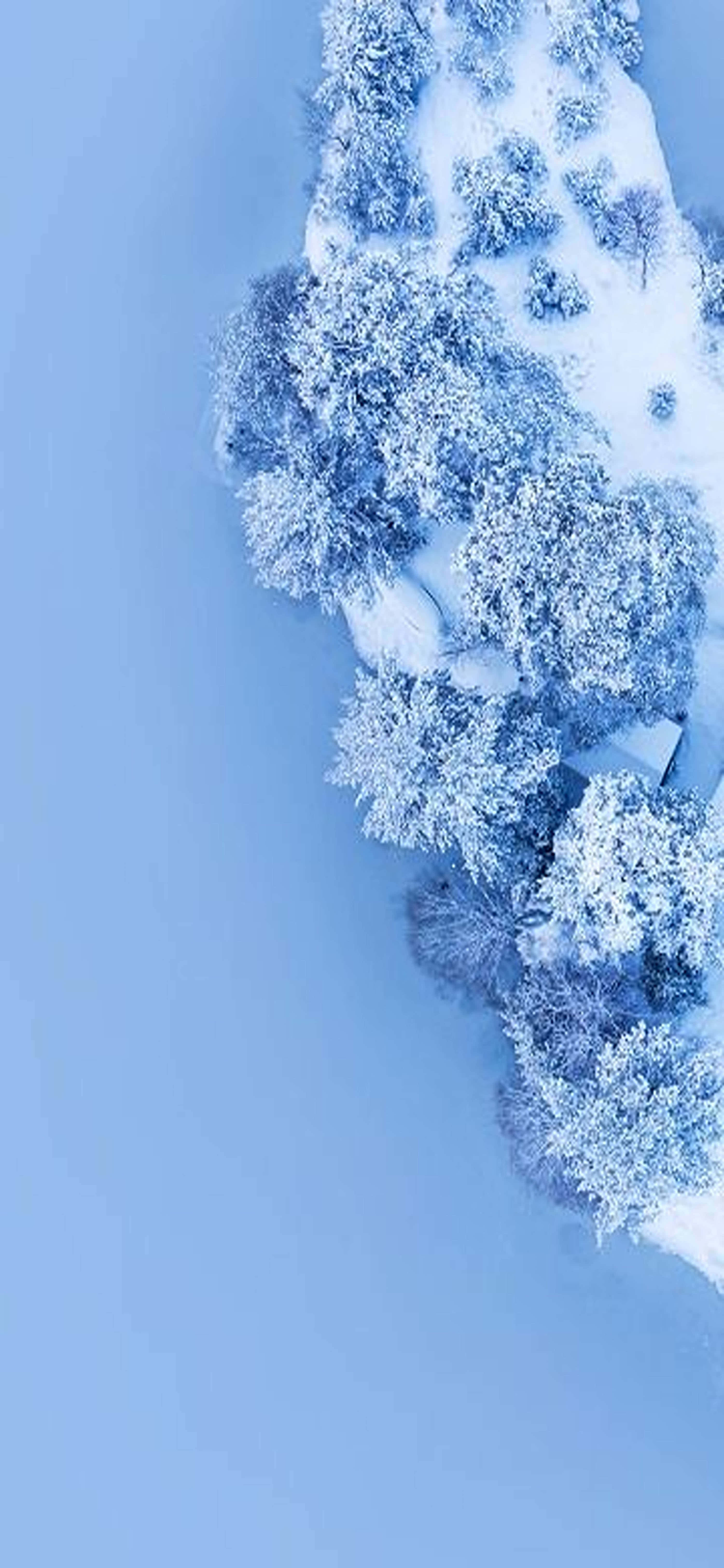 桌布 壁紙 — 從空中俯瞰，白雪覆蓋的樹木和一座小木屋坐落在廣闊的冰天雪地中，天空呈現淡藍色。
