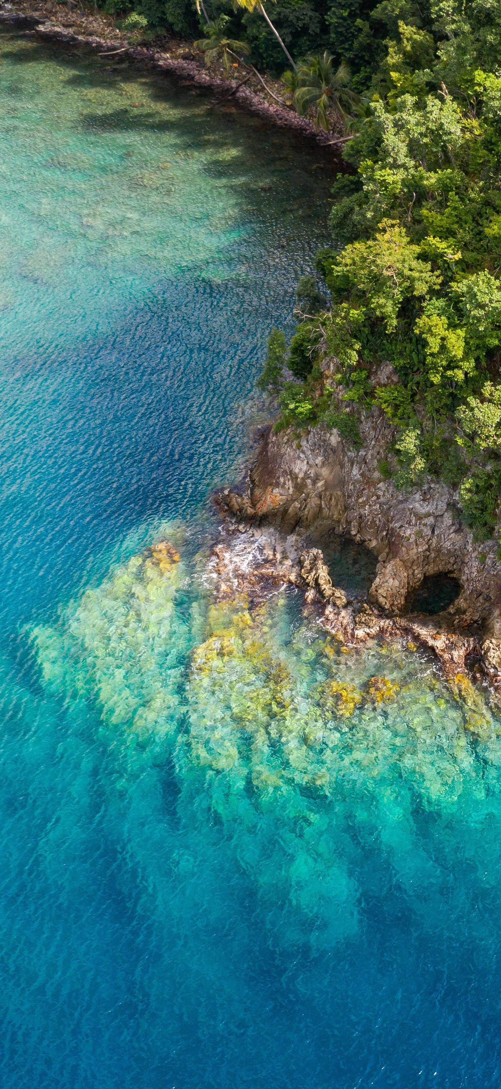 Dominica 桌布 壁紙 — 從空中俯瞰，碧綠的海水與茂密的綠色叢林海岸線交匯，點綴著岩石露頭和棕櫚樹。
