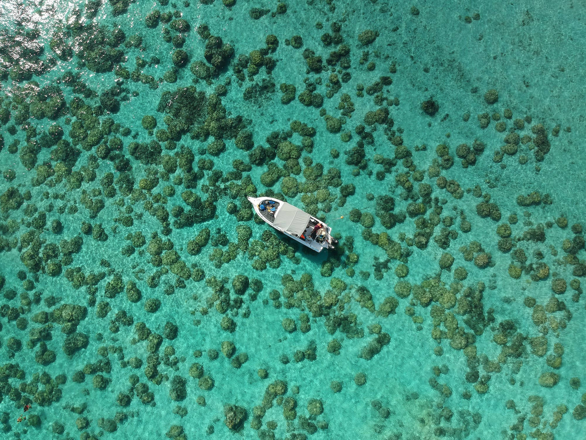 船 桌布 壁紙 — 從空中俯瞰一艘白色小船在碧綠清澈的海水上漂流，海面上點綴著茂密的綠色珊瑚群。
