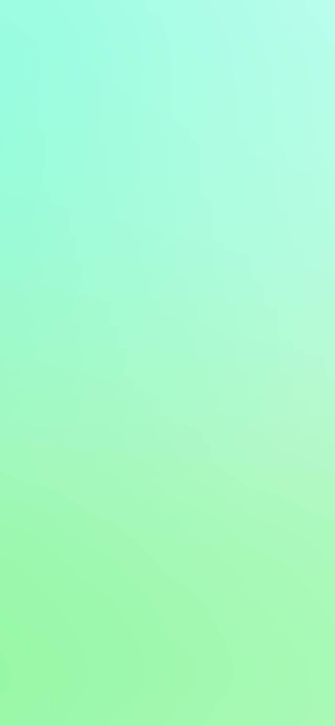 Mint Green iPhone 桌布 壁紙 — 從薄荷到萊姆綠的寧靜漸變，帶有柔和細微的紋理變化。