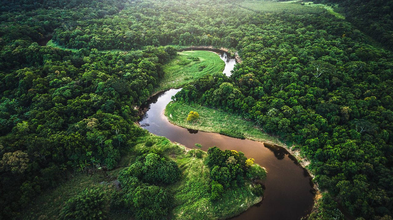 South America 桌布 壁紙 — 從高空俯瞰，一條蜿蜒的河流在柔和的金色光線下穿過茂密的翡翠叢林。