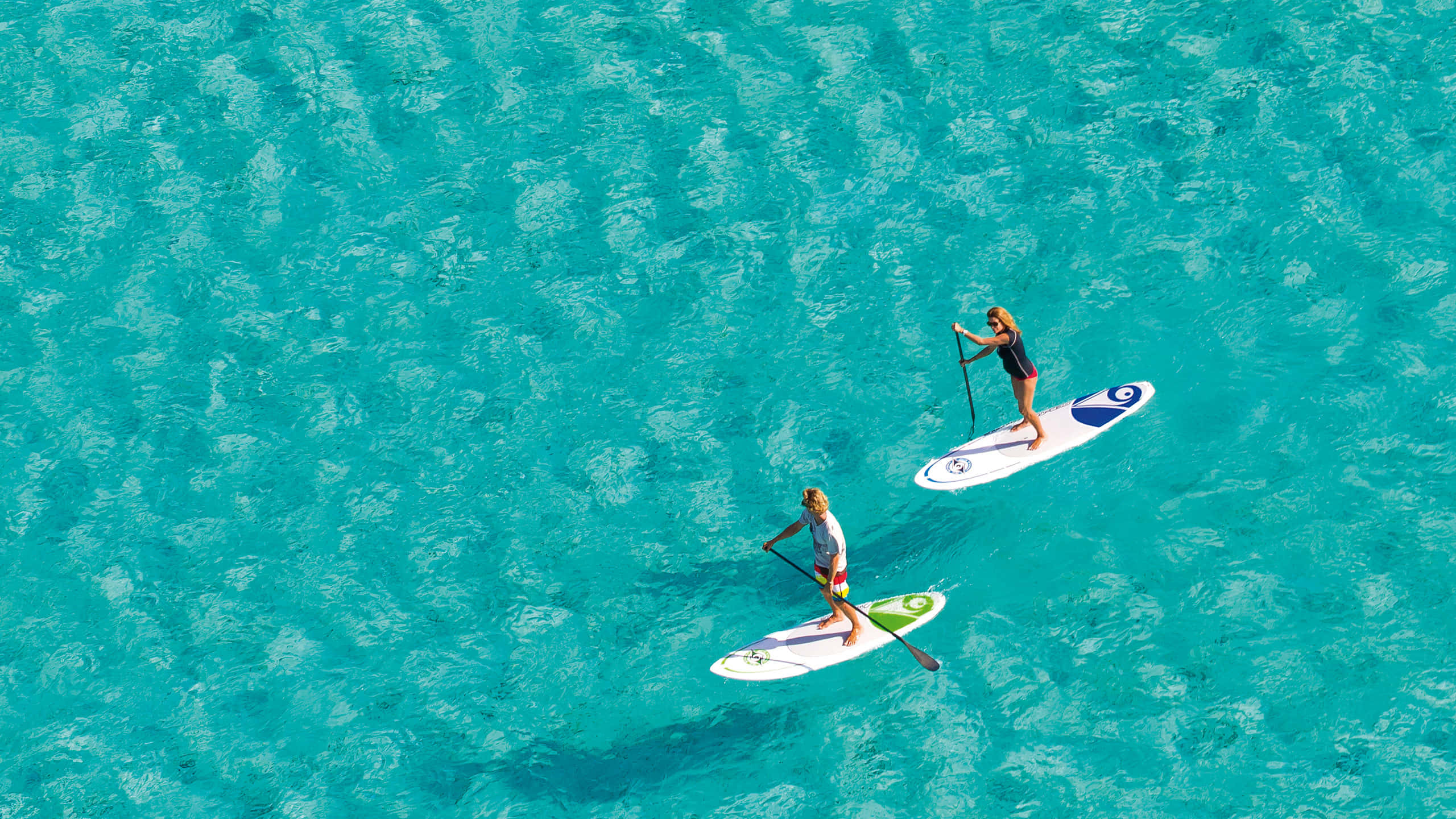 Paddleboarding 桌布 壁紙 — 從高空俯瞰，兩人在鮮豔的碧綠水上划槳板。