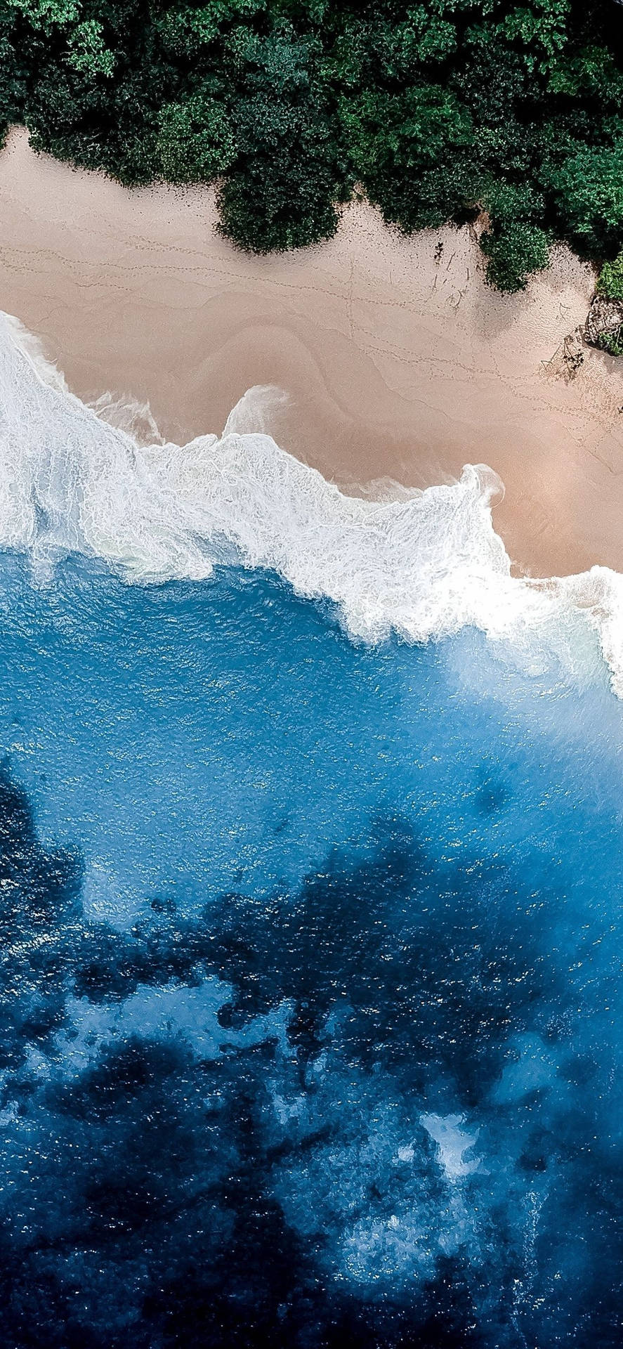 從高空拍攝，碧綠色的海浪與沙灘和茂密的綠色叢林交匯。 — 4K 海灘壁紙 壁紙